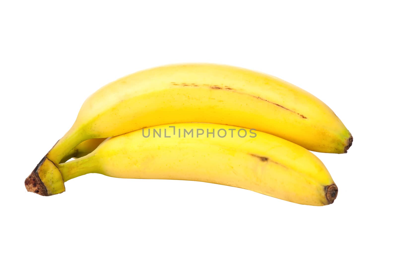 Two bananas isolated on white background, closeup sho