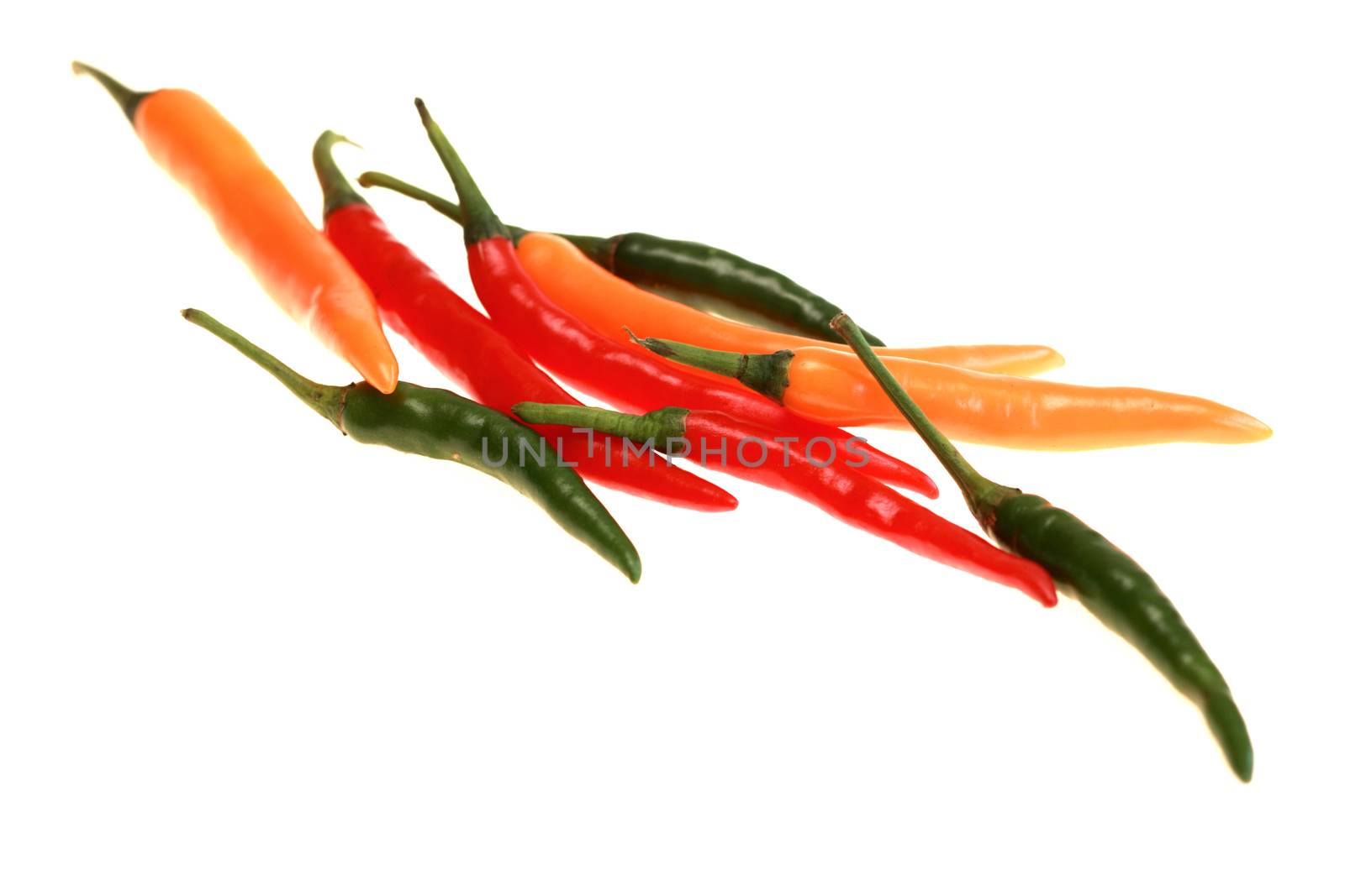 Hot Spicy Raw Uncooked Thai Chillies