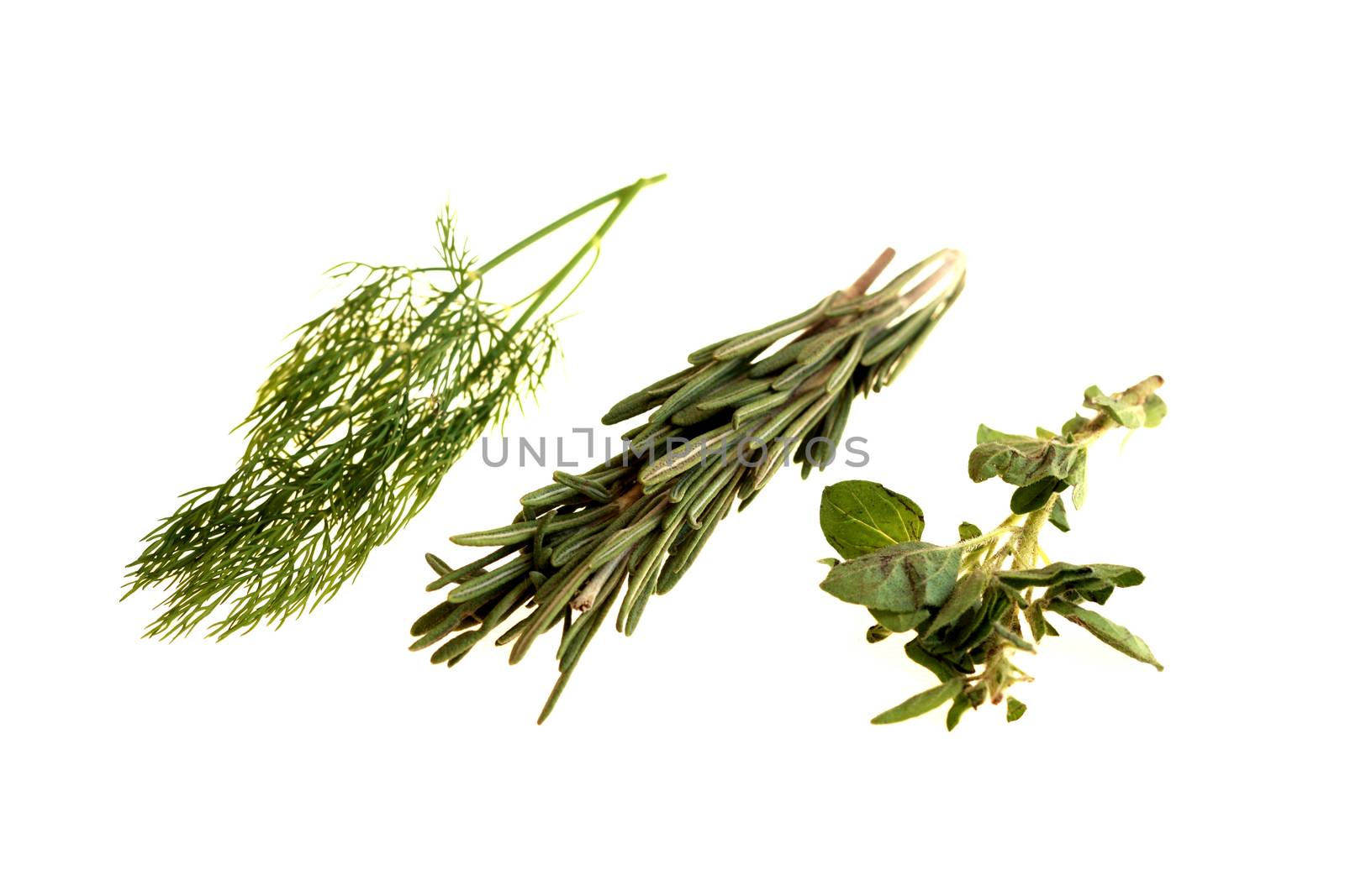 Dill Rosemary and Oragano