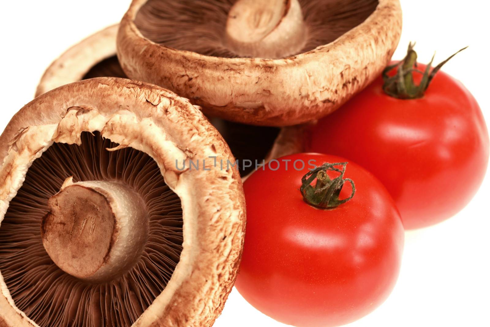 Mushroom and Tomatoes by Whiteboxmedia