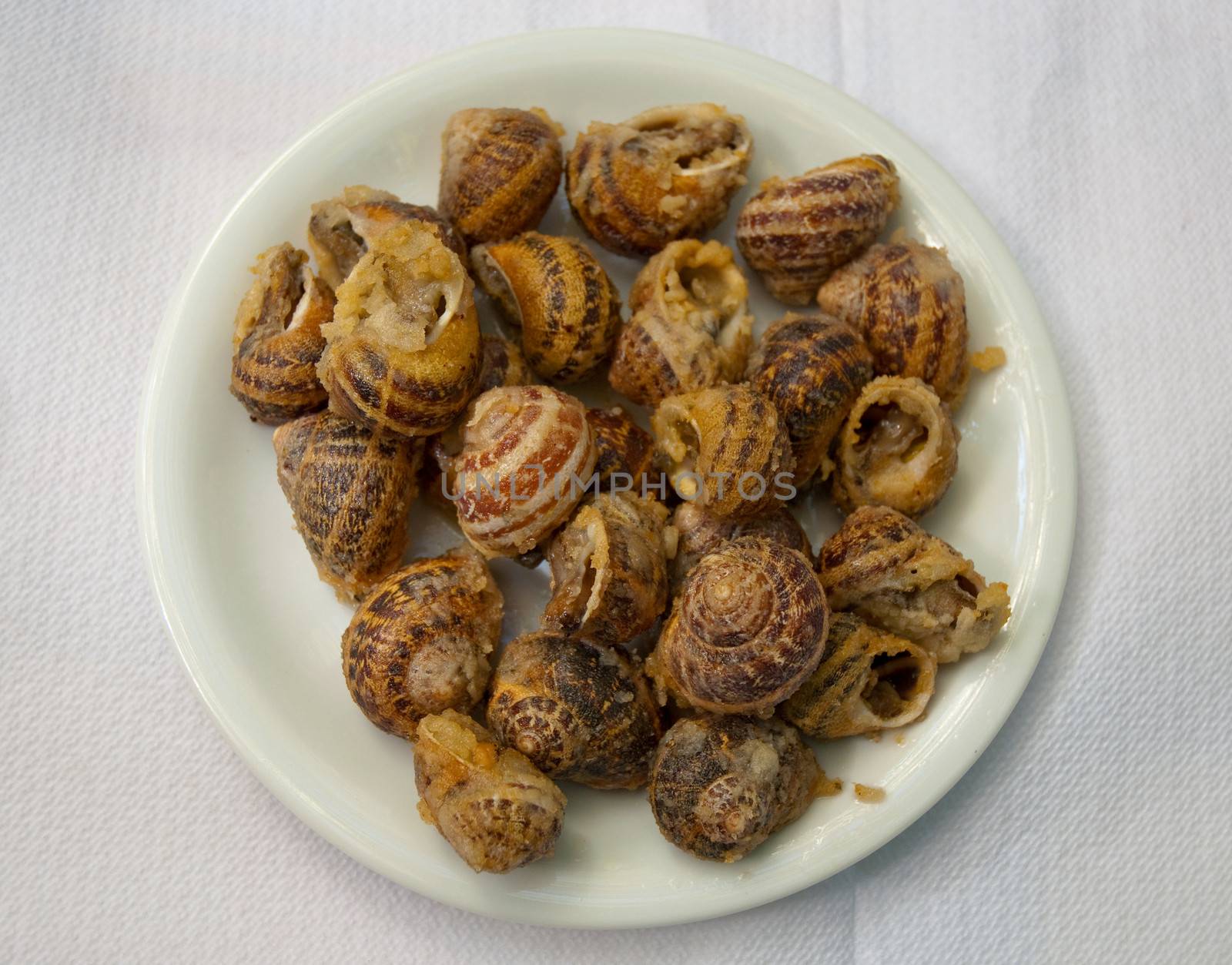 Fried snail on a white plate.