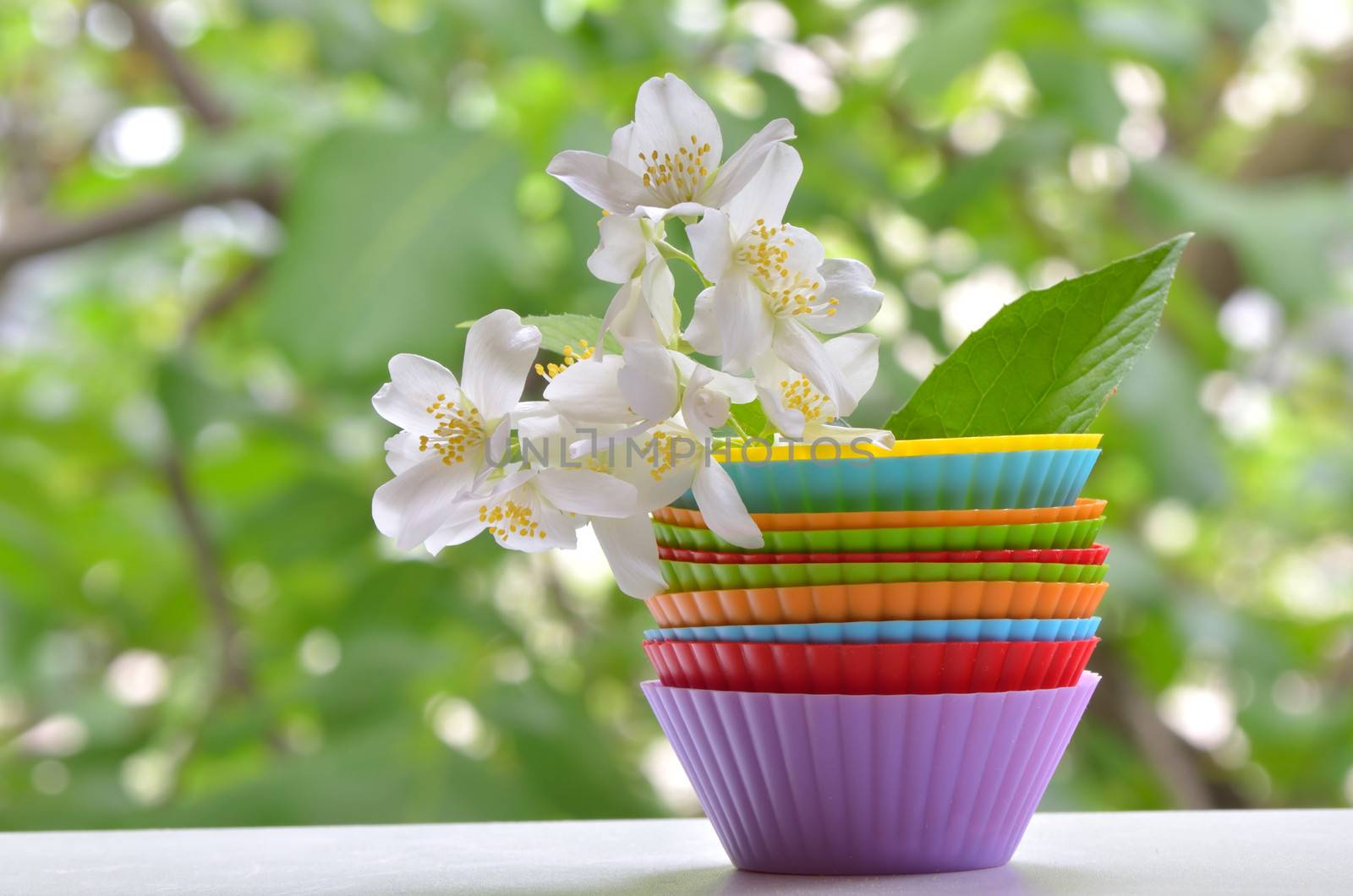 types of muffins with jasmine flower shoot on natural background