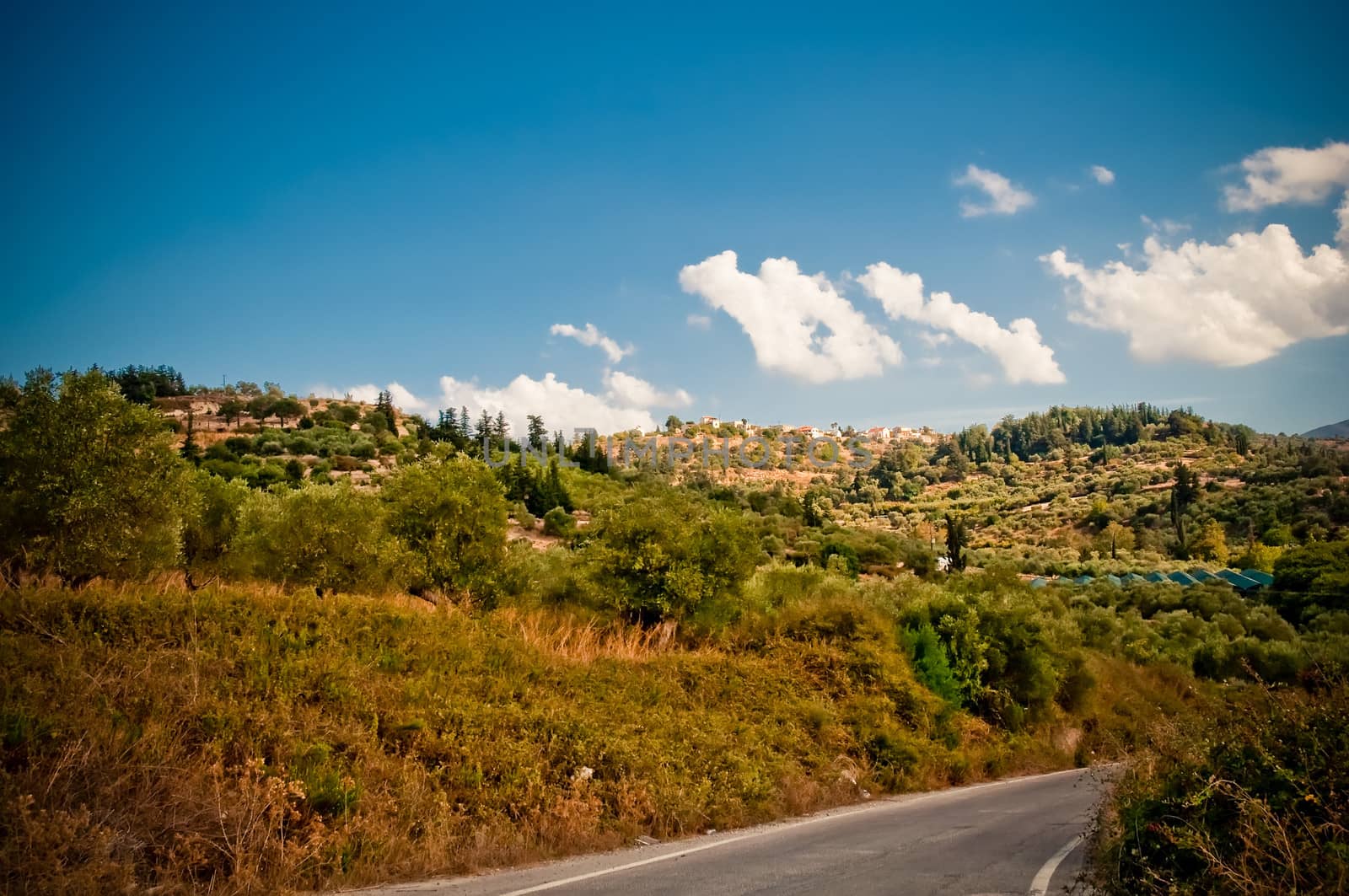 Empty road in the summer mountain .