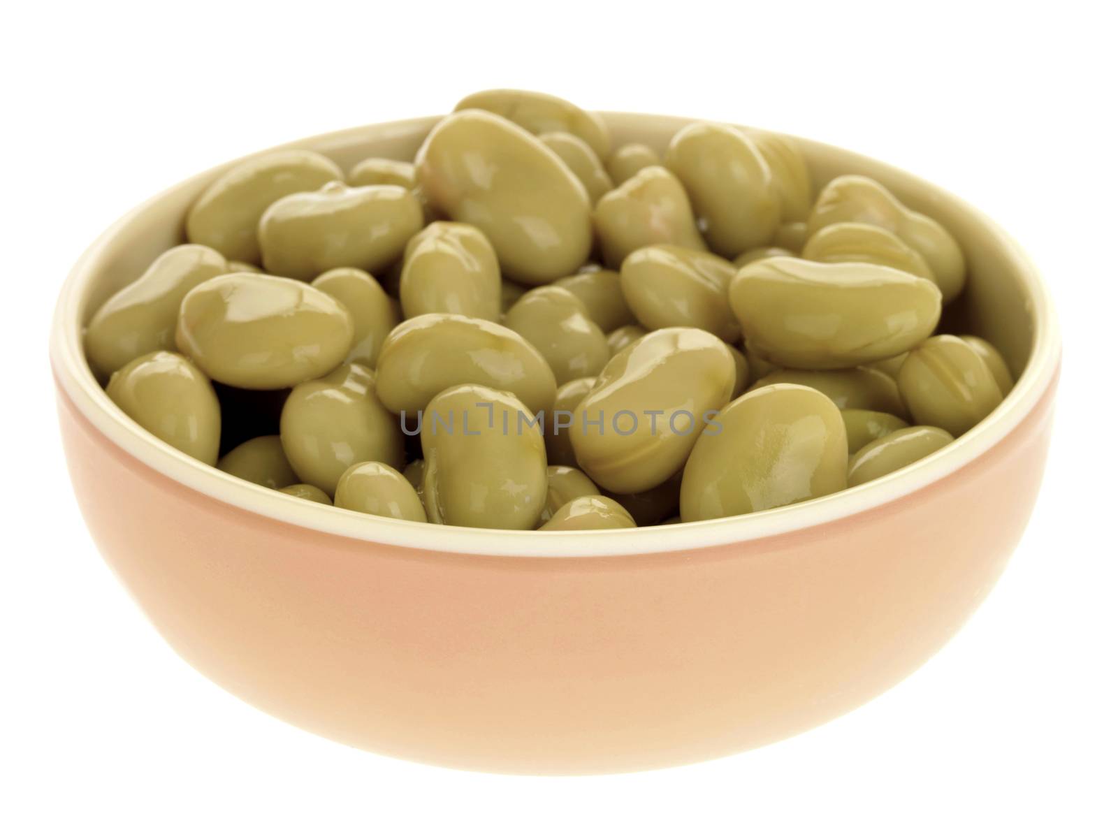 Broad Beans