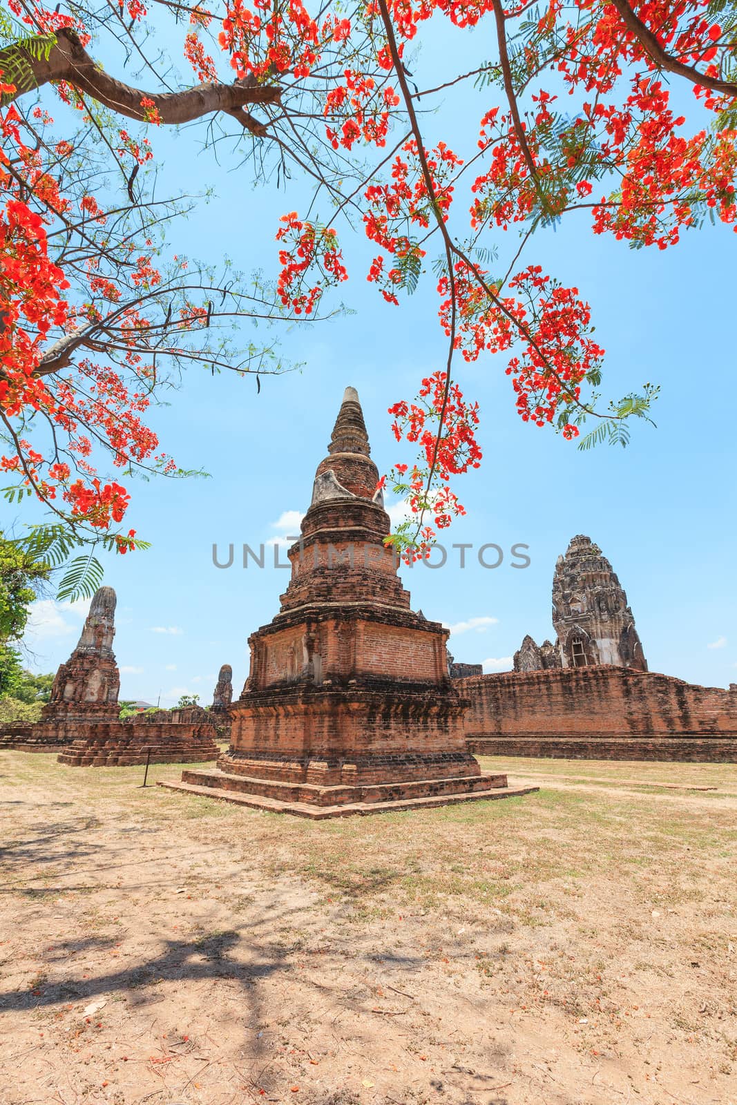 Wat Phra Sri Rattana Mahathat Historical park in lopburi Thailand