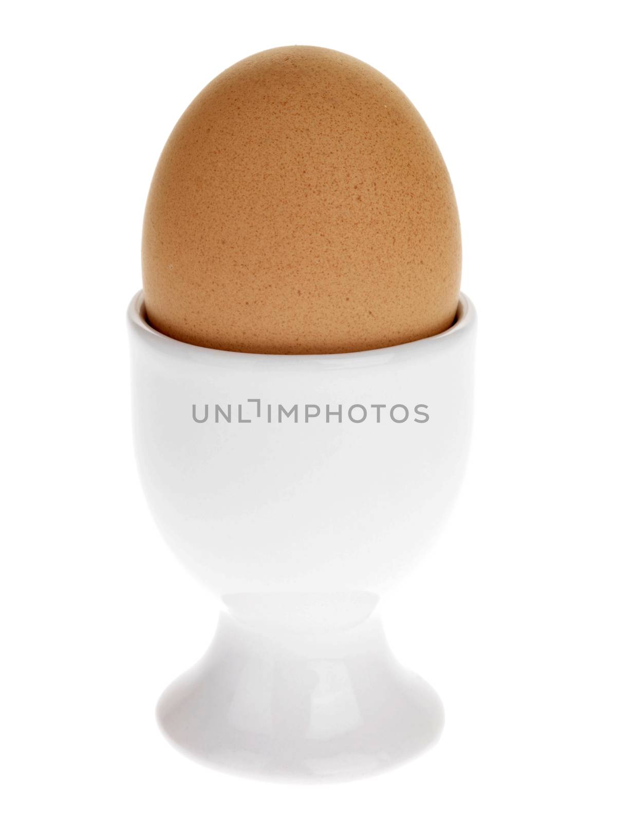 Boiled Egg by Whiteboxmedia