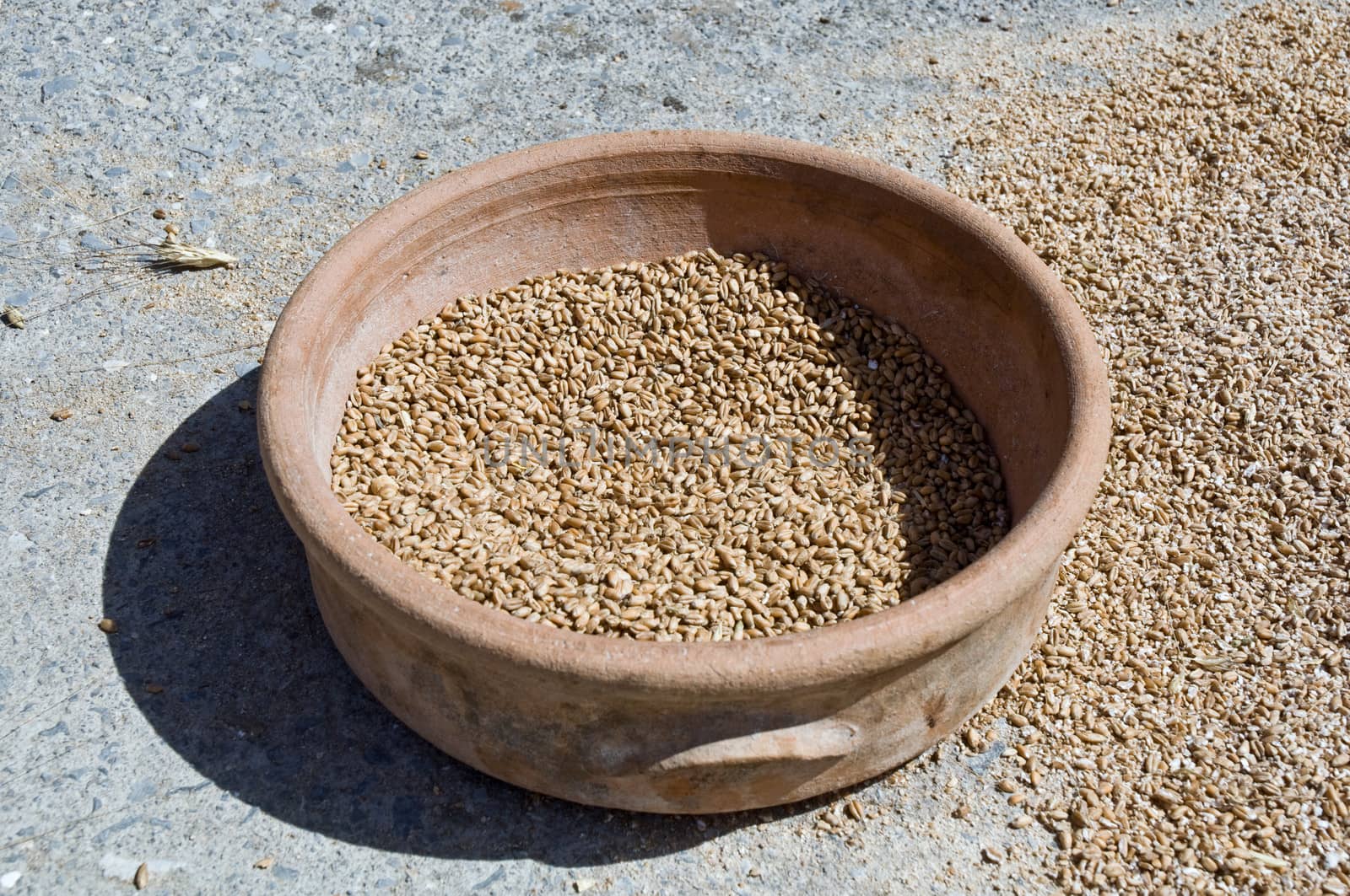 Ancient ceramic dish with grain .