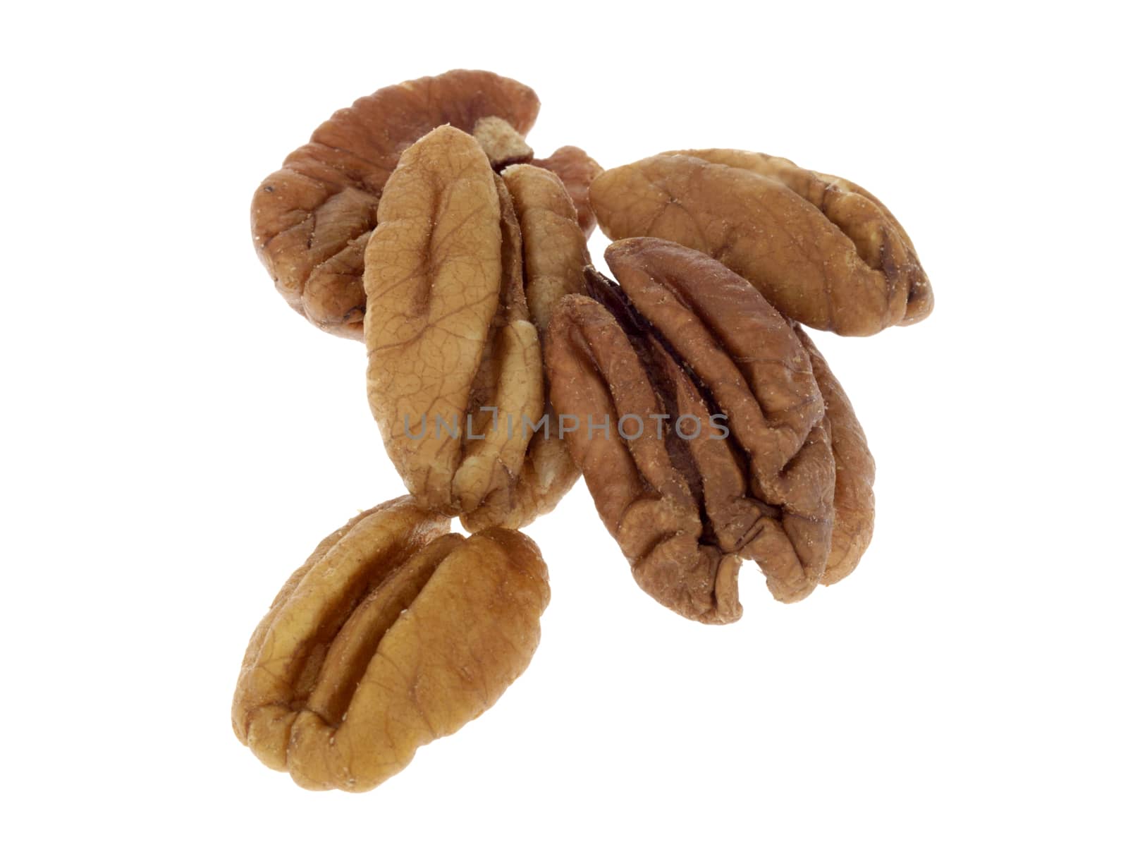 Pecan Nuts by Whiteboxmedia