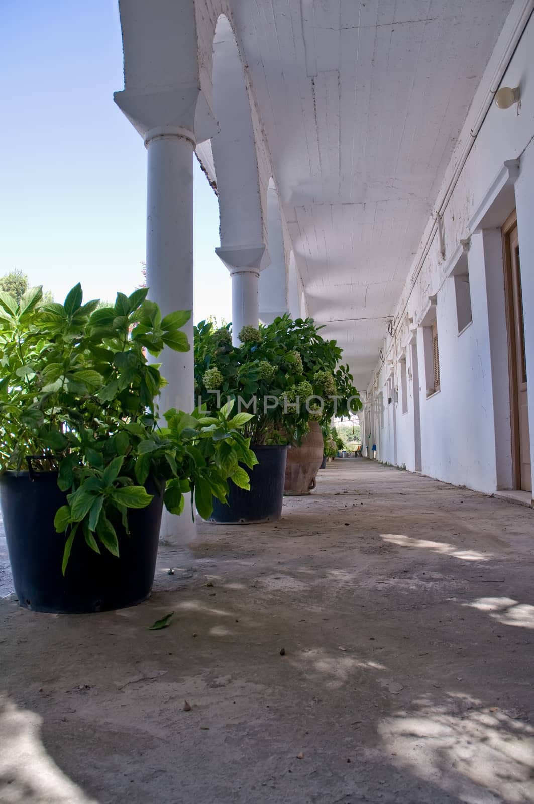 White porch with flowers in the Greek Orthodox monastery. .