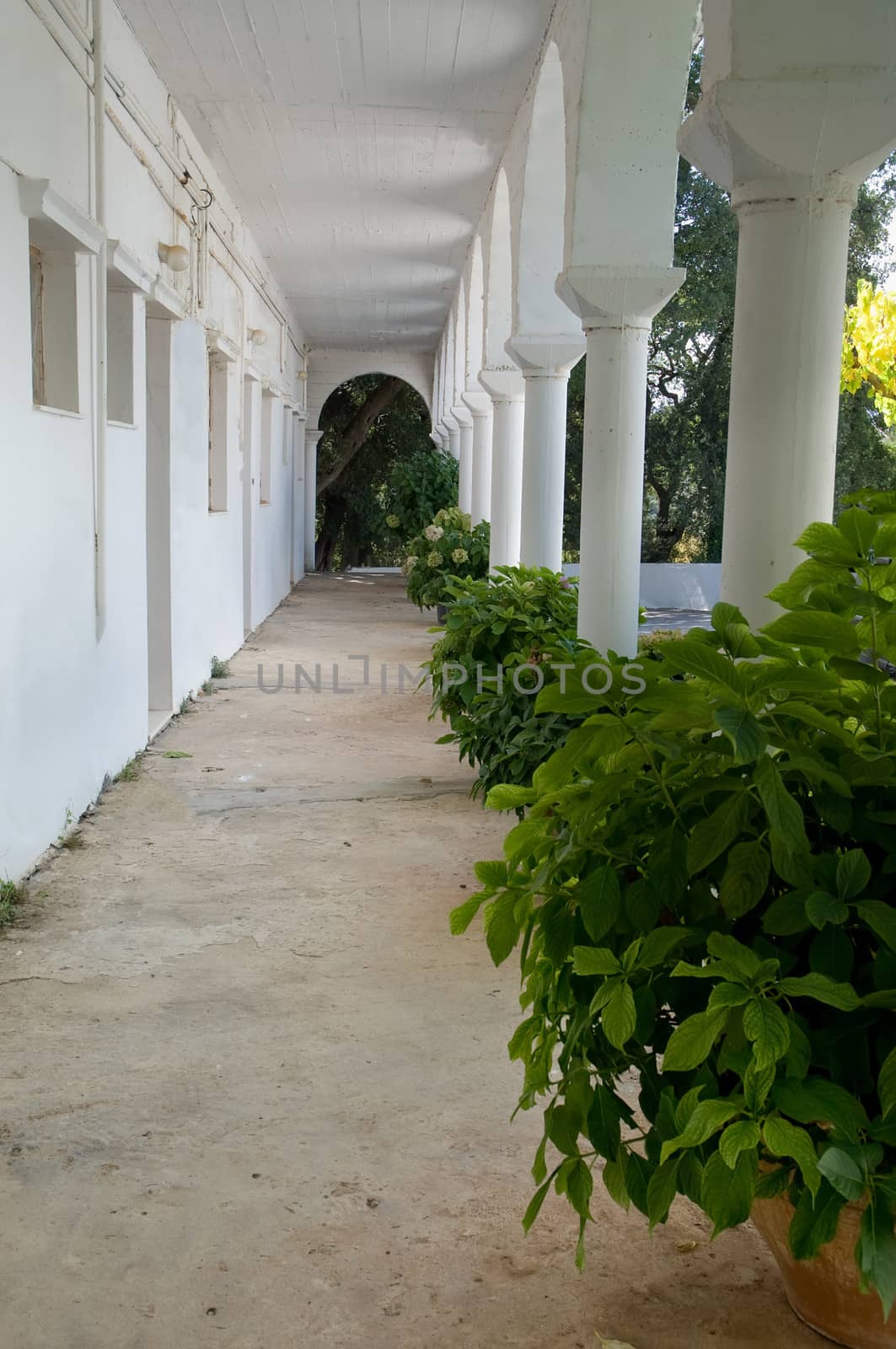 White porch with flowers in the Greek Orthodox monastery. .