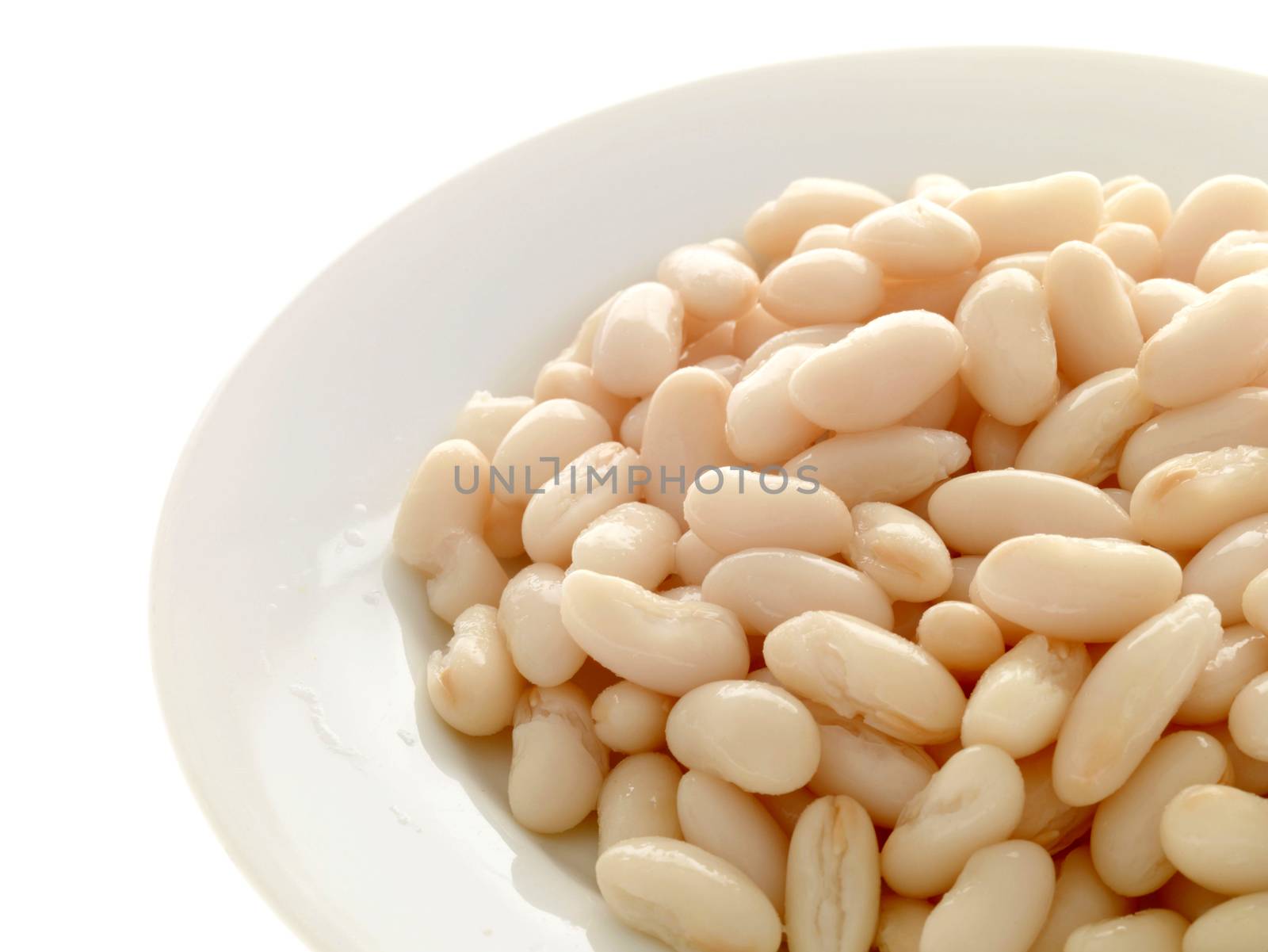 Cannellini Beans by Whiteboxmedia