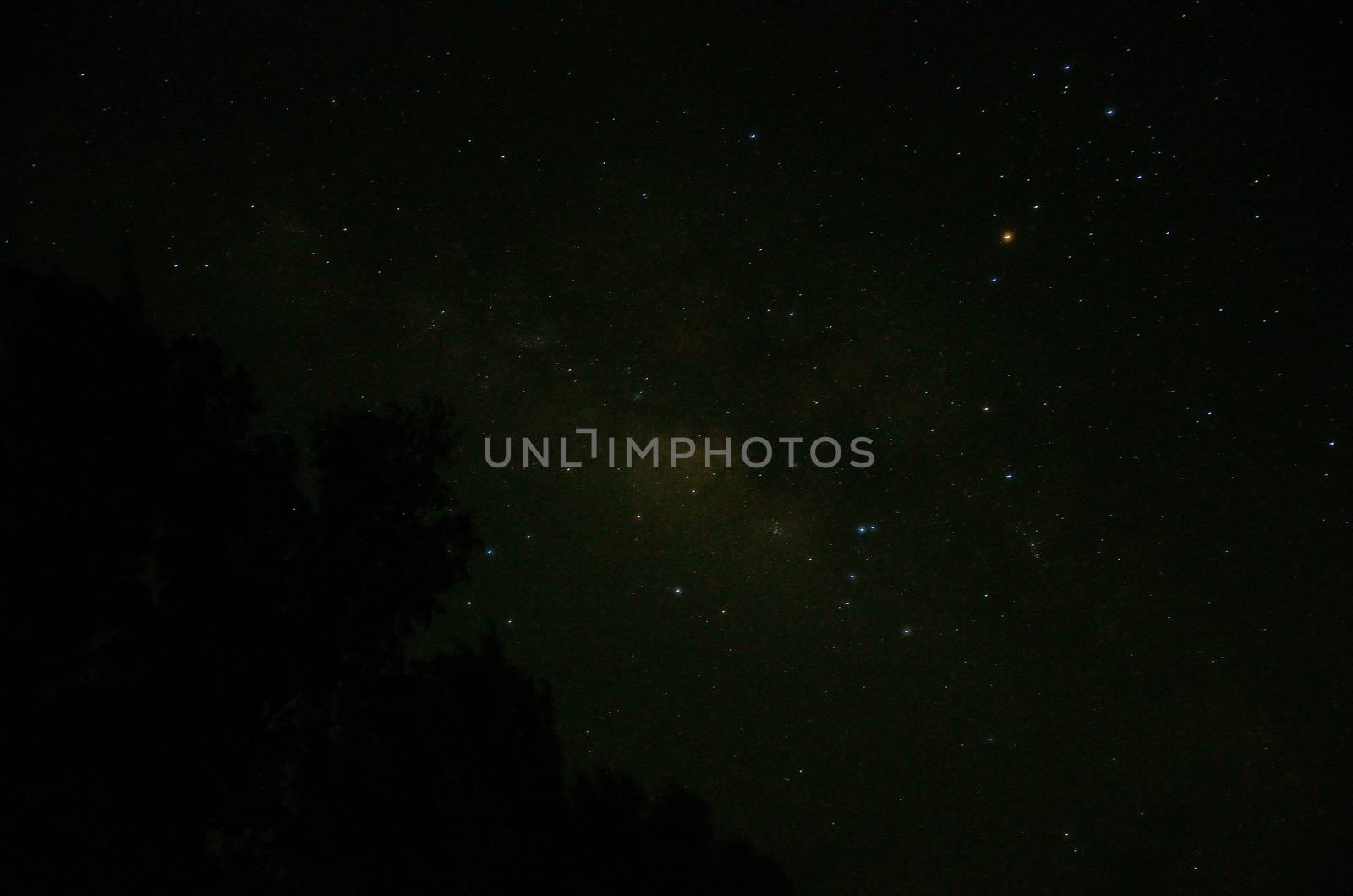 Milky way with star in the sky