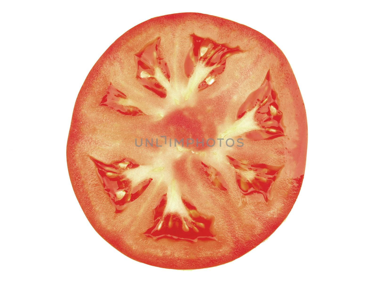Tomato by Whiteboxmedia