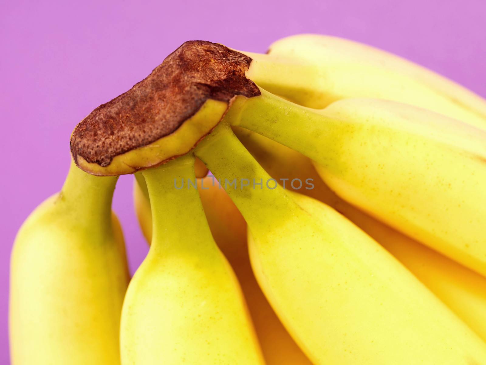 Bananas by Whiteboxmedia