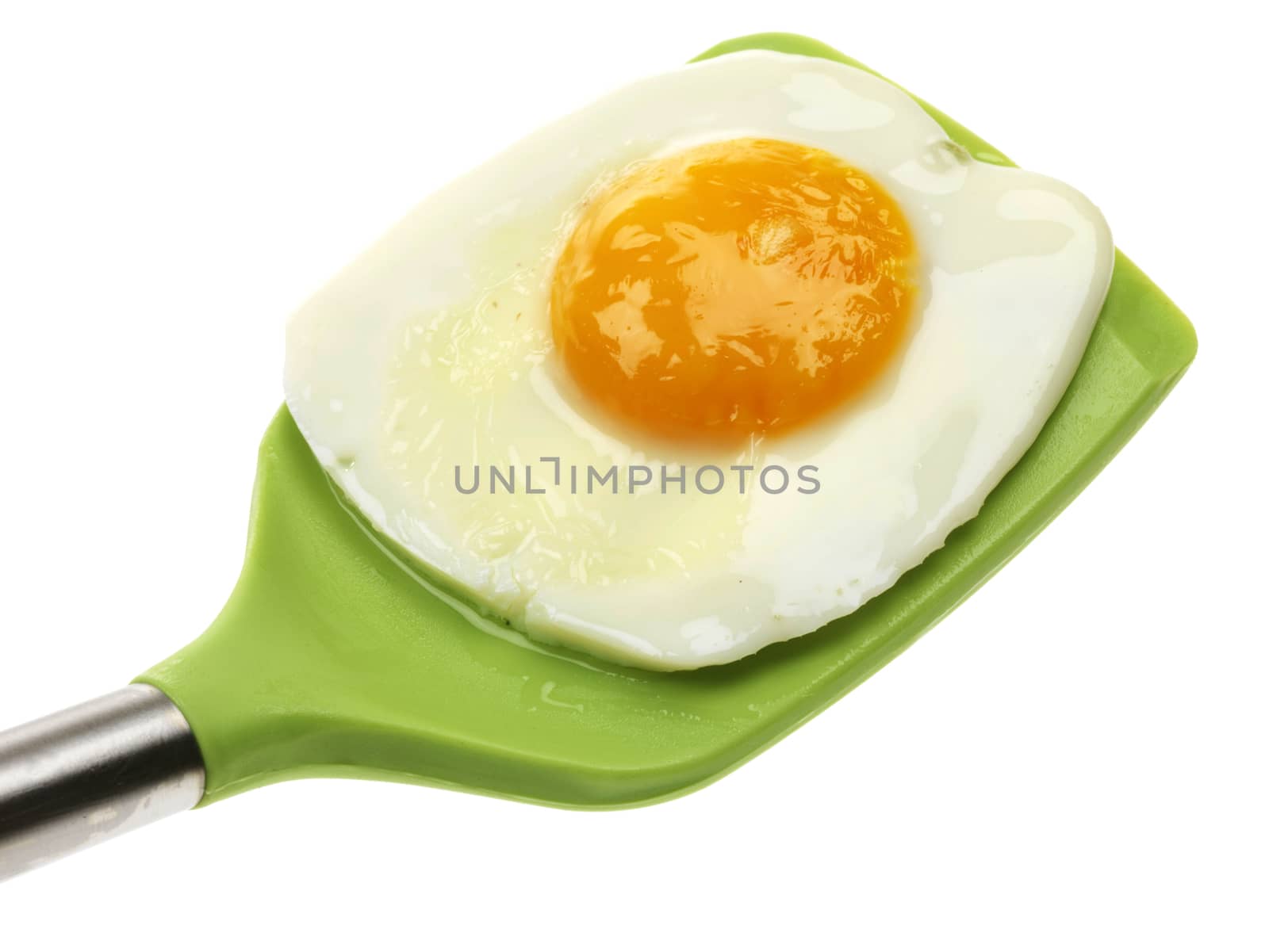 Fried Egg On A Spatula by Whiteboxmedia