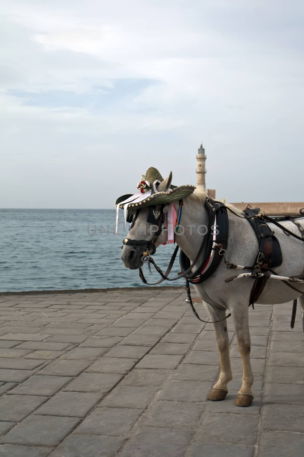 Coach before chania lighthouse . by LarisaP