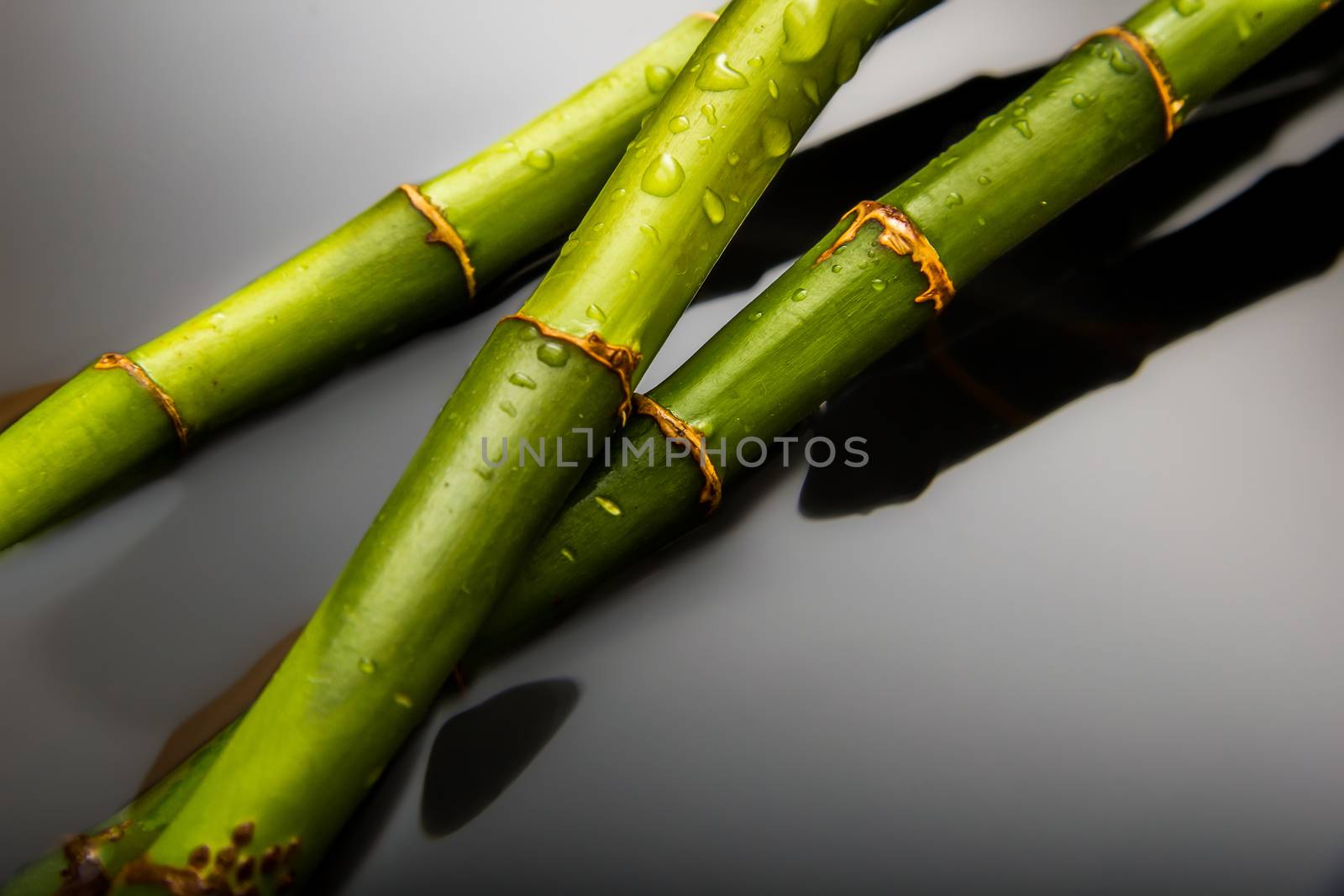 Bamboo on water background