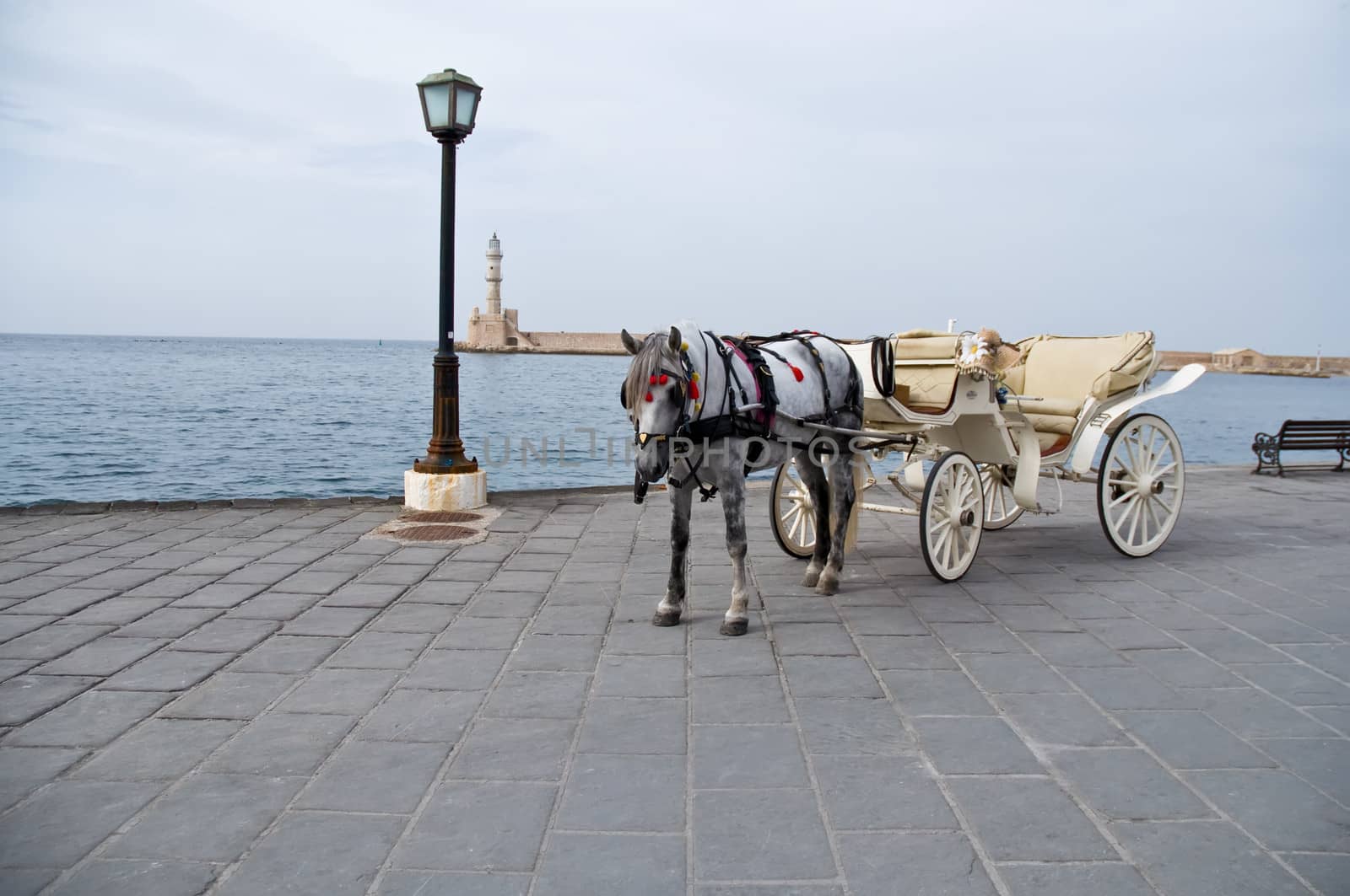 Traditional Horse and Cart on quay of city of island Crete, Greece .