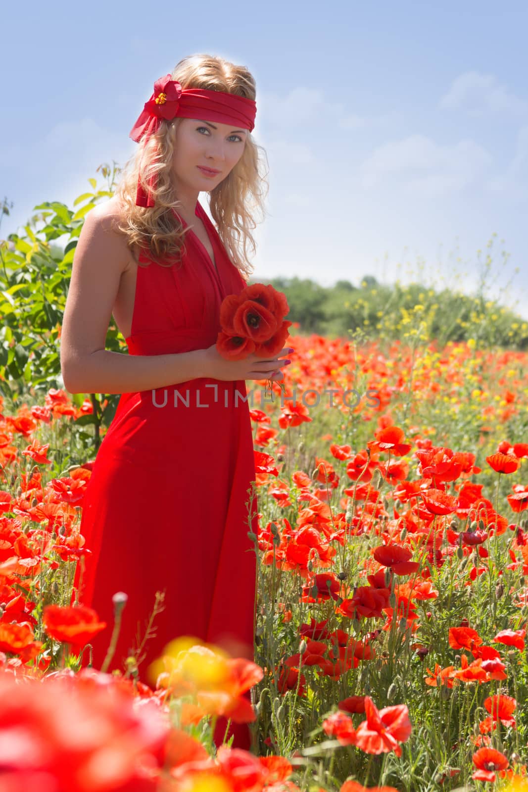 Woman in long red dress among poppy field