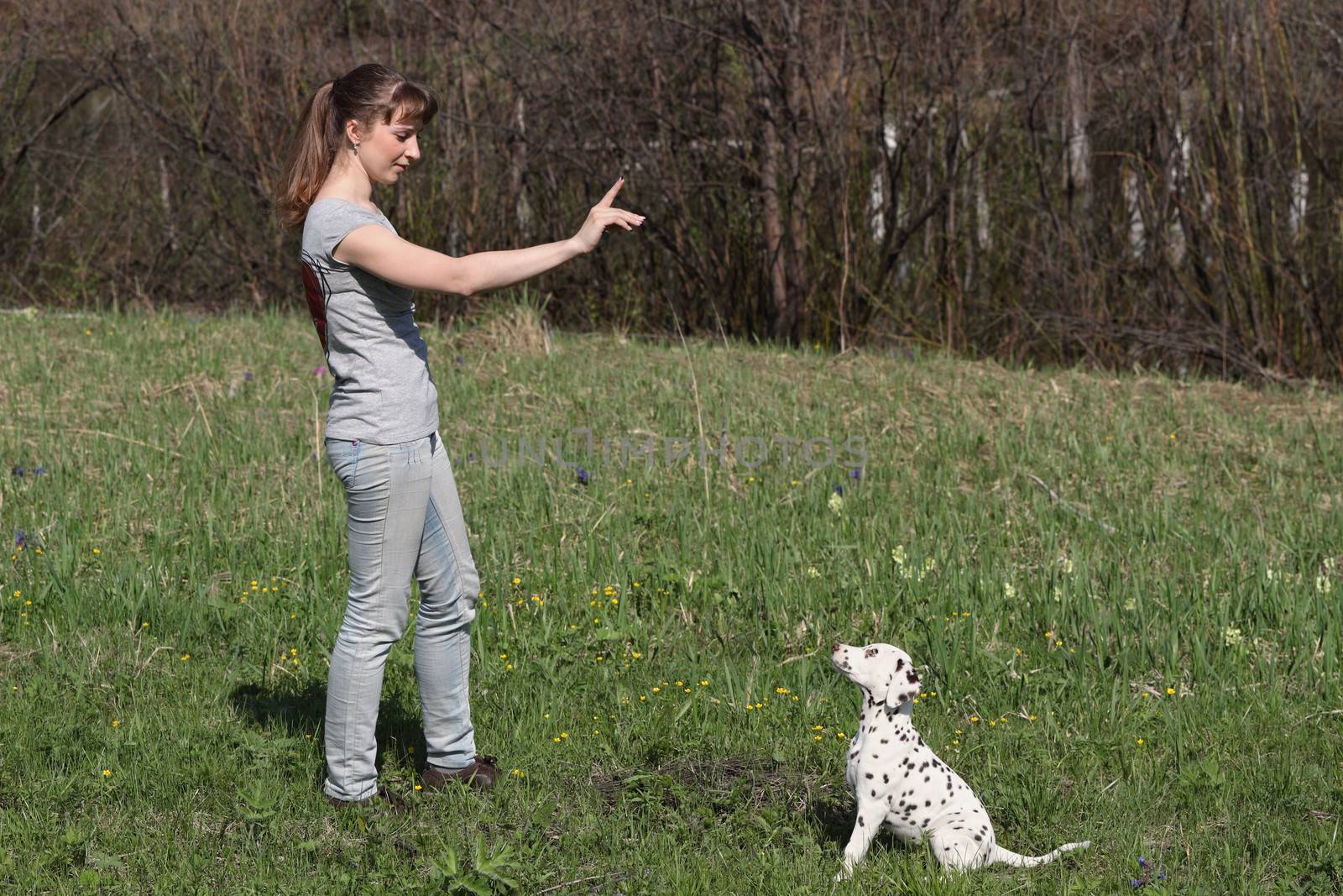 Girl training a little dalmatian puppy dog 