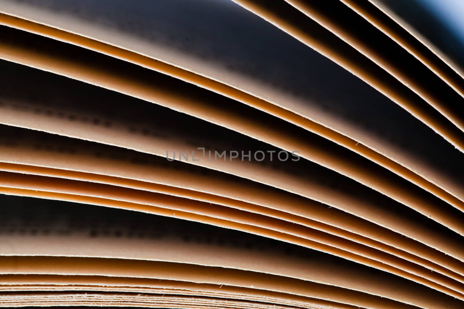 Extreme closeup of old book pages