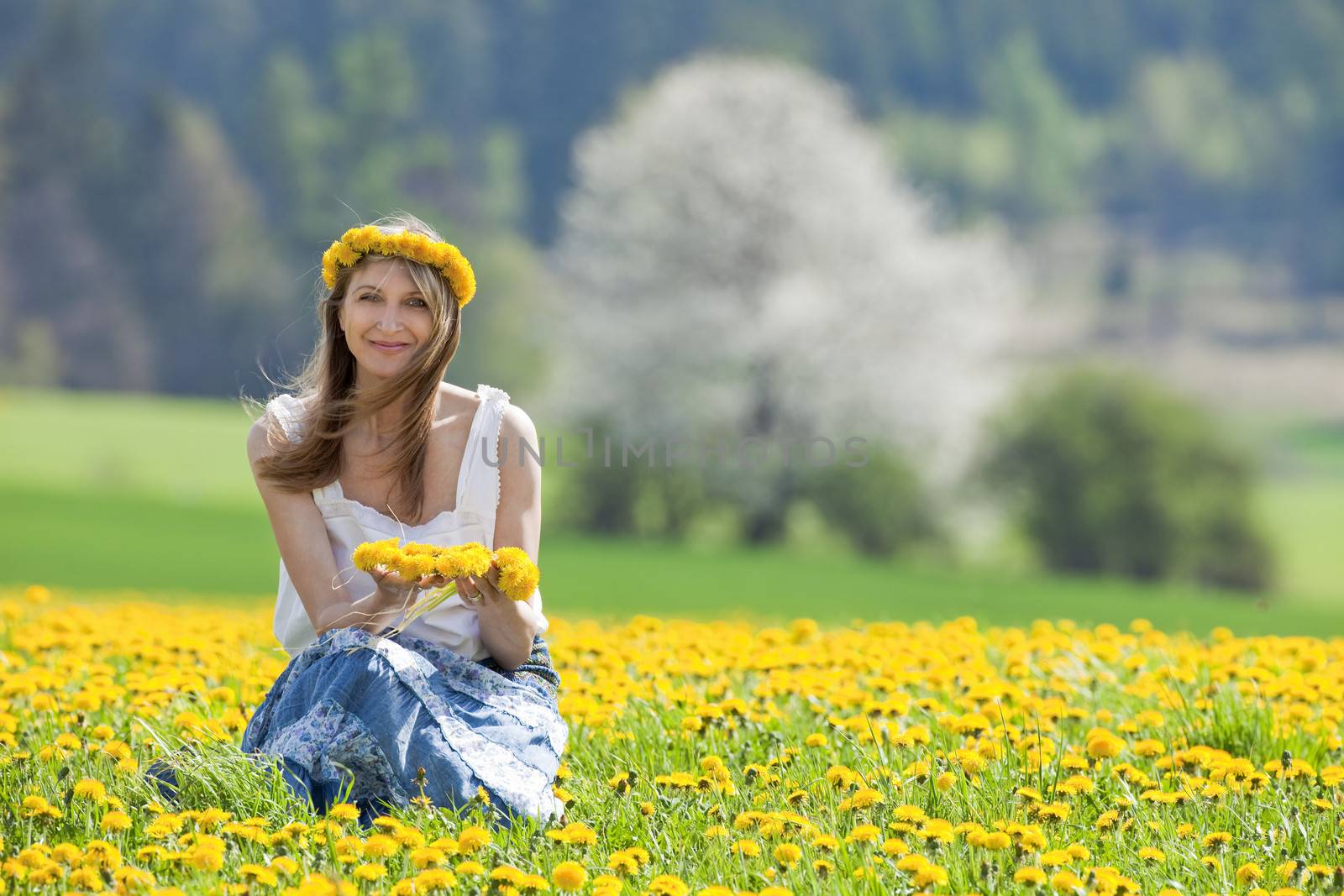 woman in a dandelion field by courtyardpix