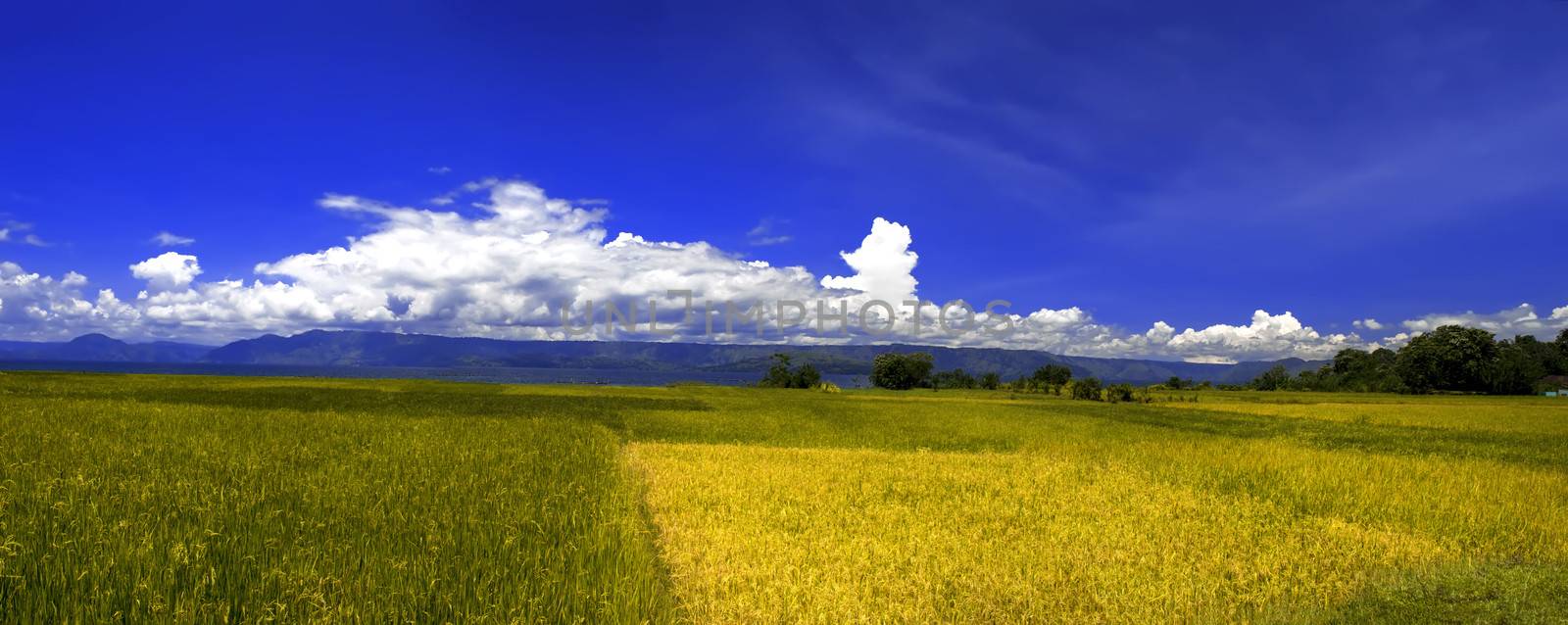 Village Landscape Panorama, Samosir Island. by GNNick