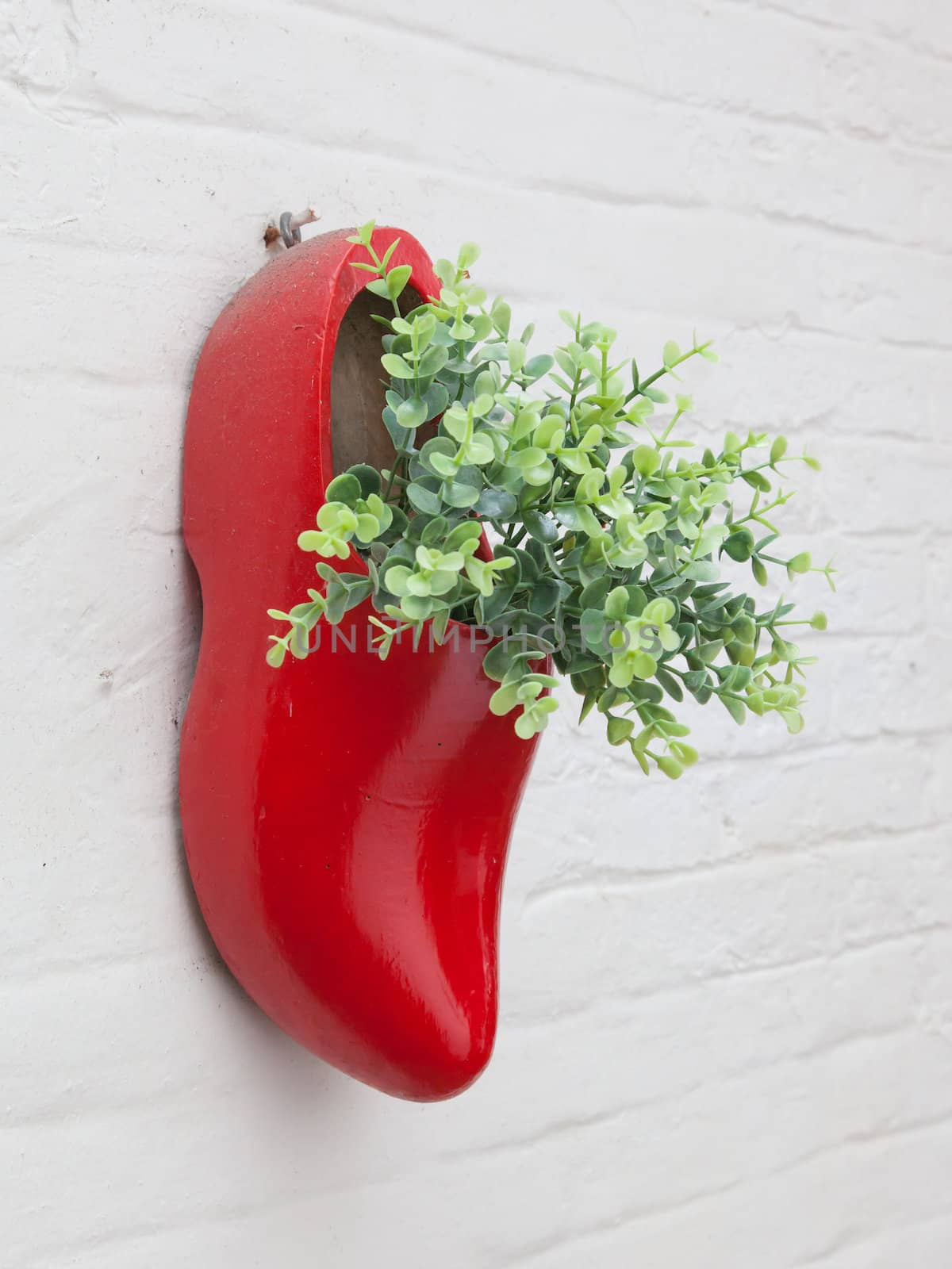 Dutch wooden shoe with fake flowers hanging on a white wall