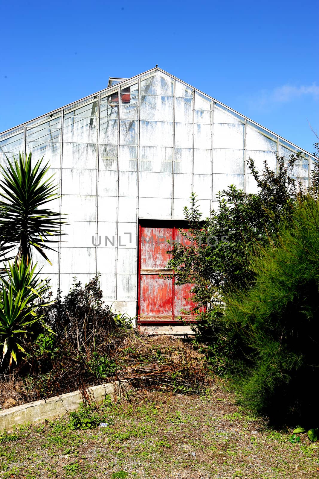 Greenhouse