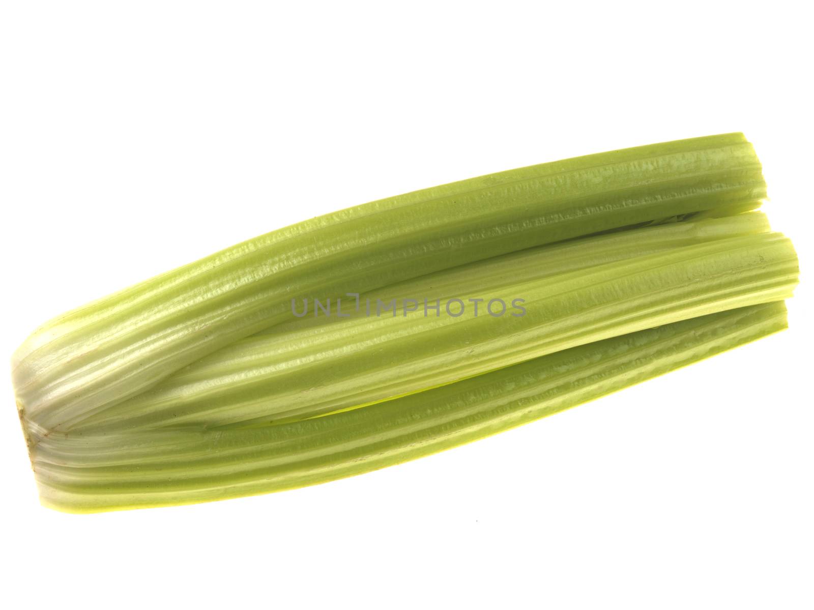 Fresh Celery