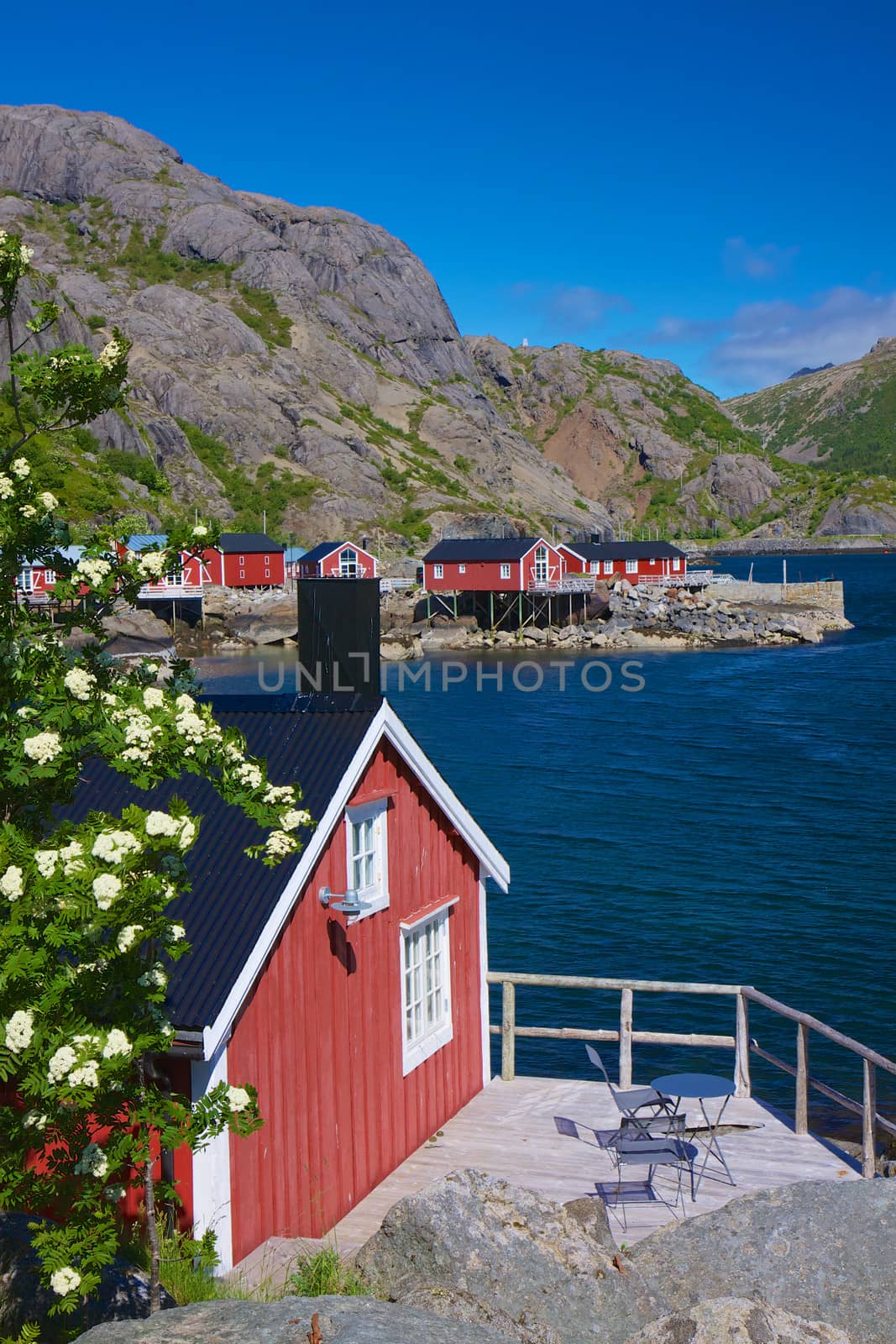 Scenic Nusfjord by Harvepino