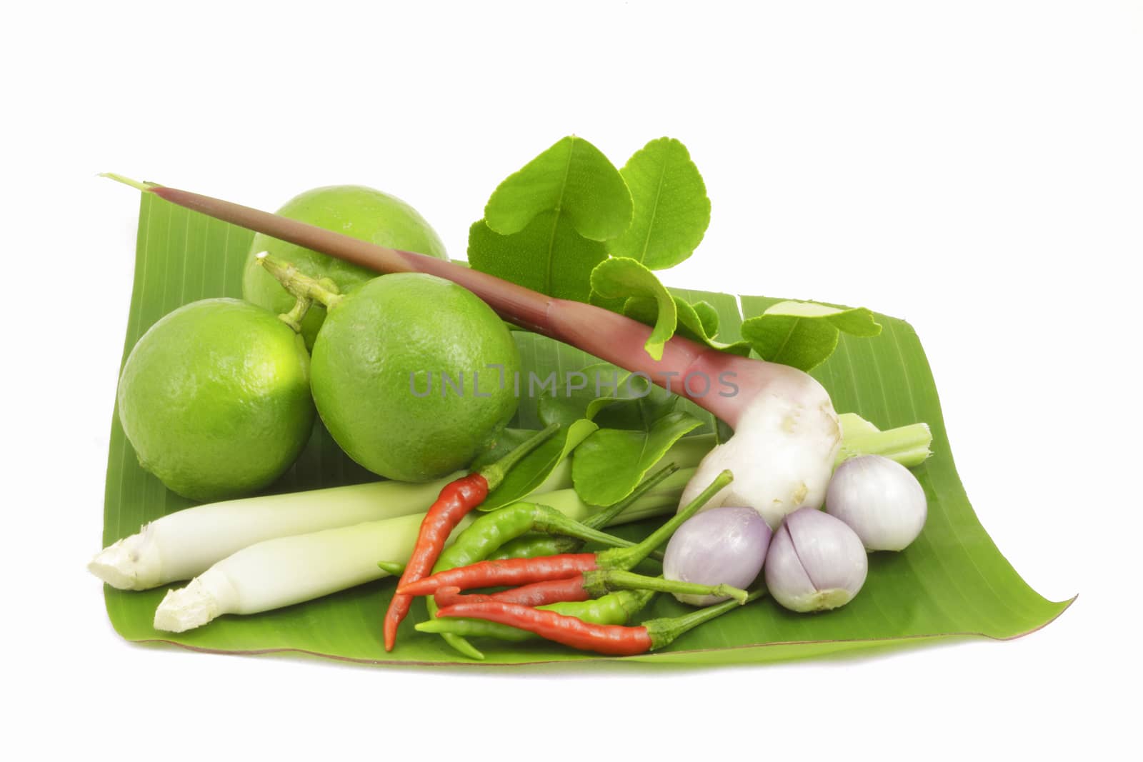 Isolated ingredients for Thai soup, Tom Yum Goong. by ngungfoto