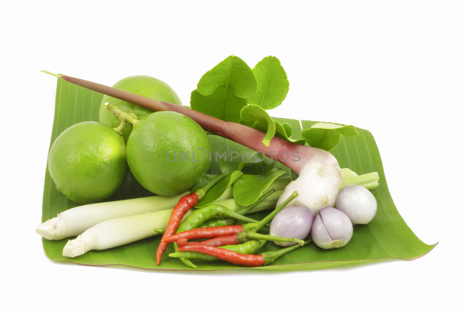 Isolated ingredients for Thai soup, Tom Yum Goong.