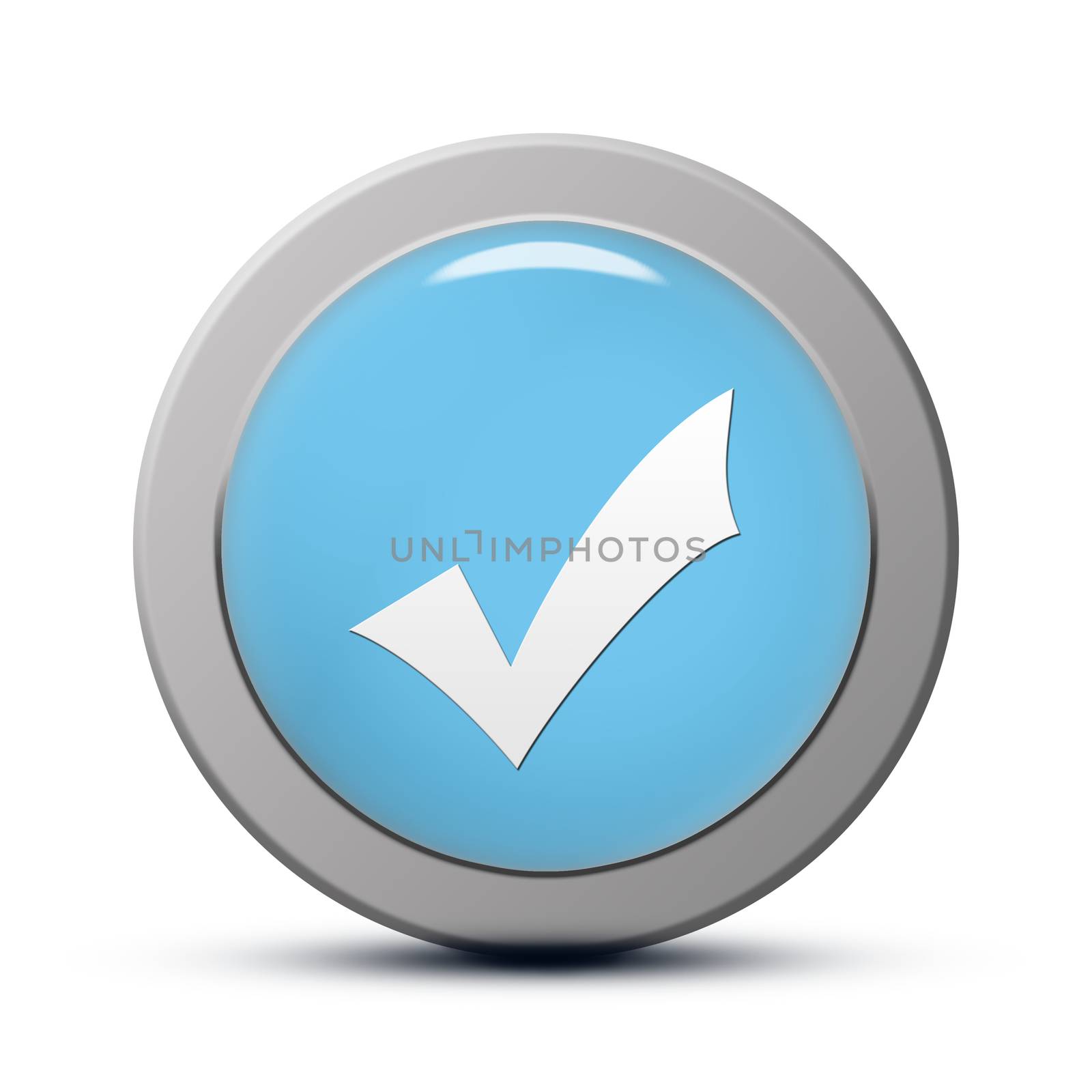 blue round Icon series : Validate button