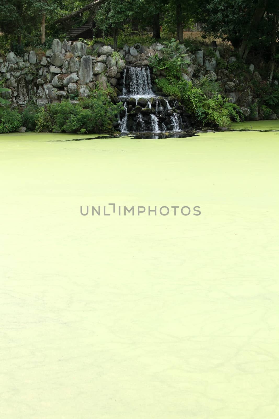 A waterfall on a algae covered pond