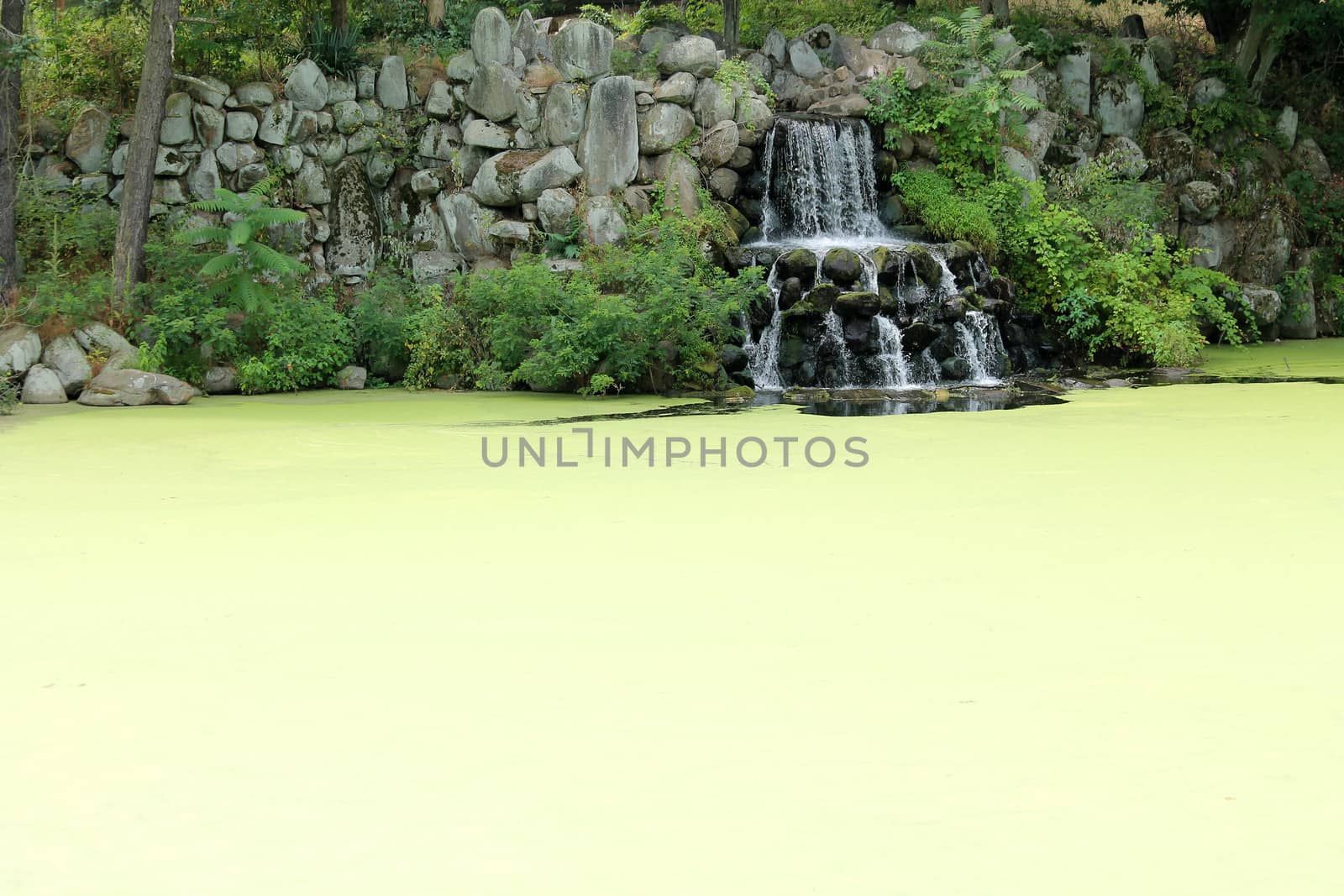 A waterfall on a algae covered pond