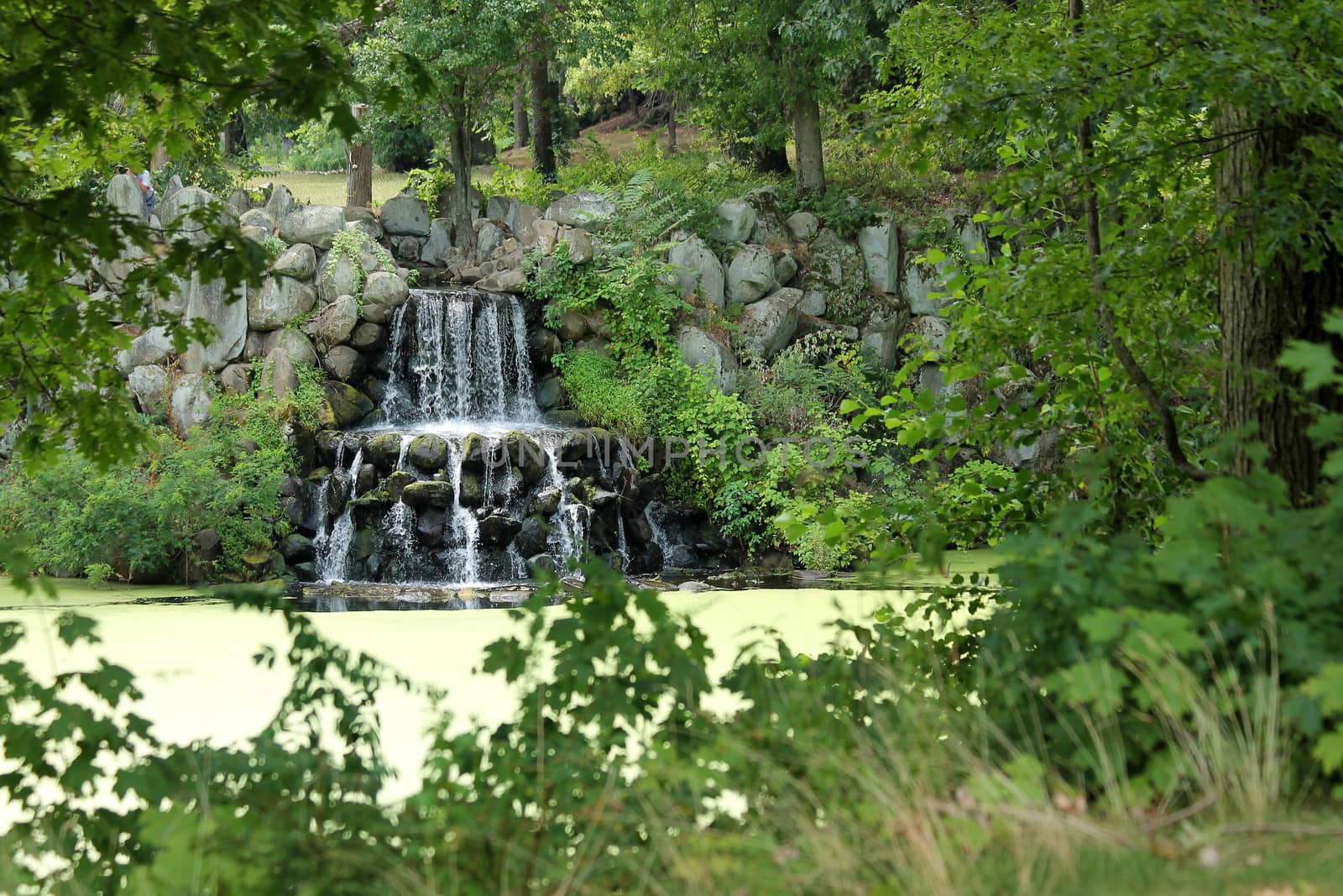 A waterfall on a algae covered pond