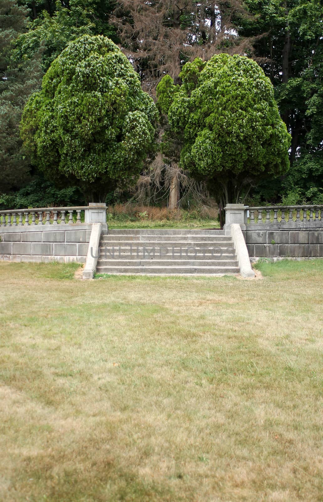 Some Stone steps with trees
