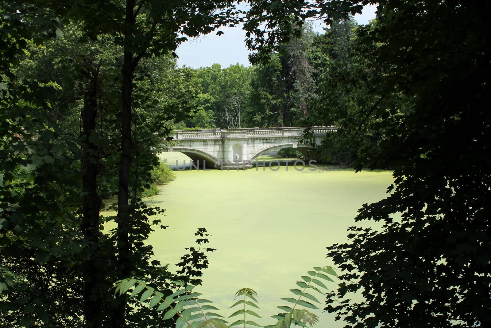 A bridge across a pond