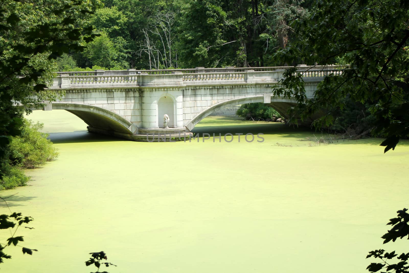 A bridge across a pond