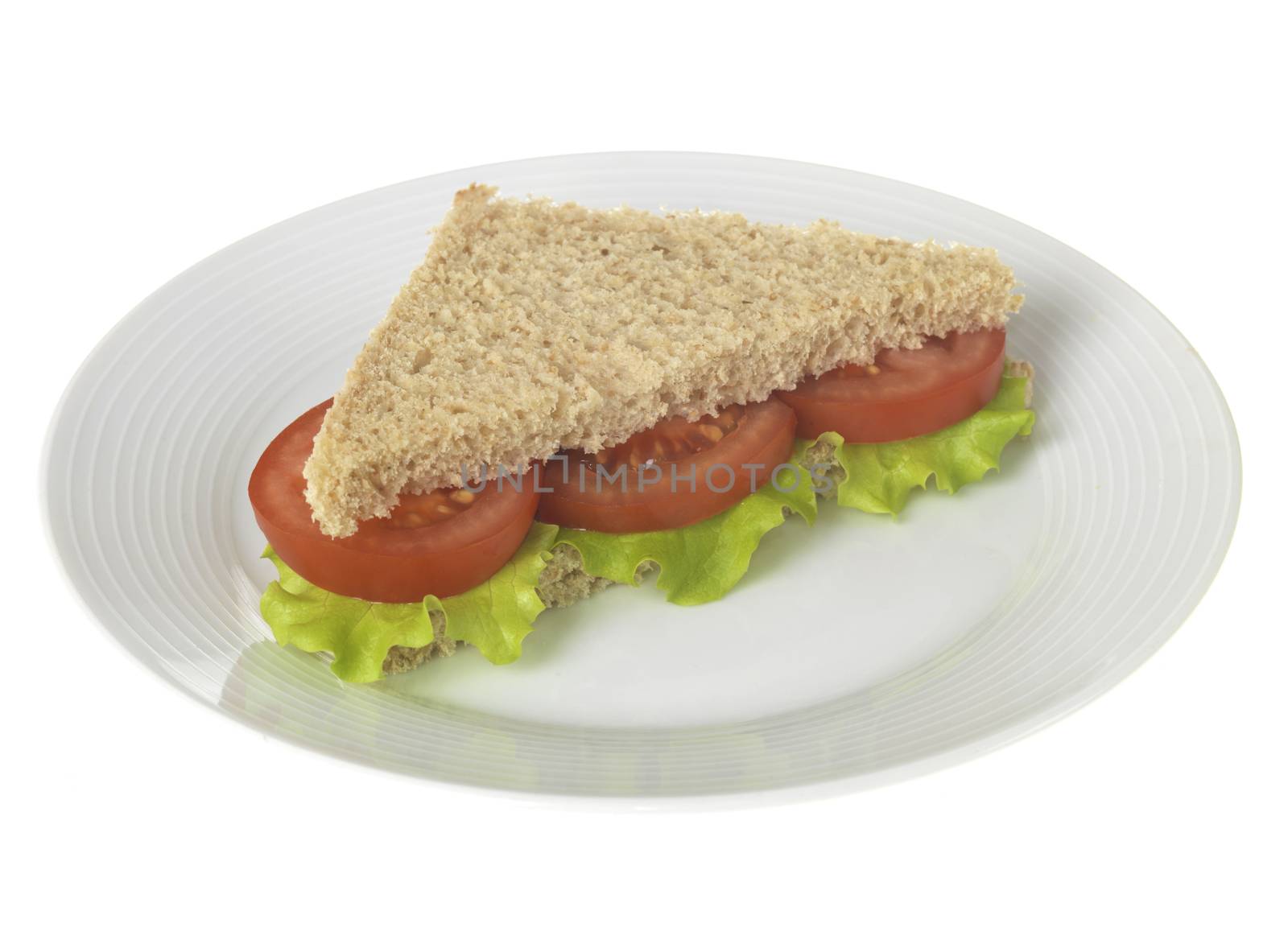 Salad Sandwich