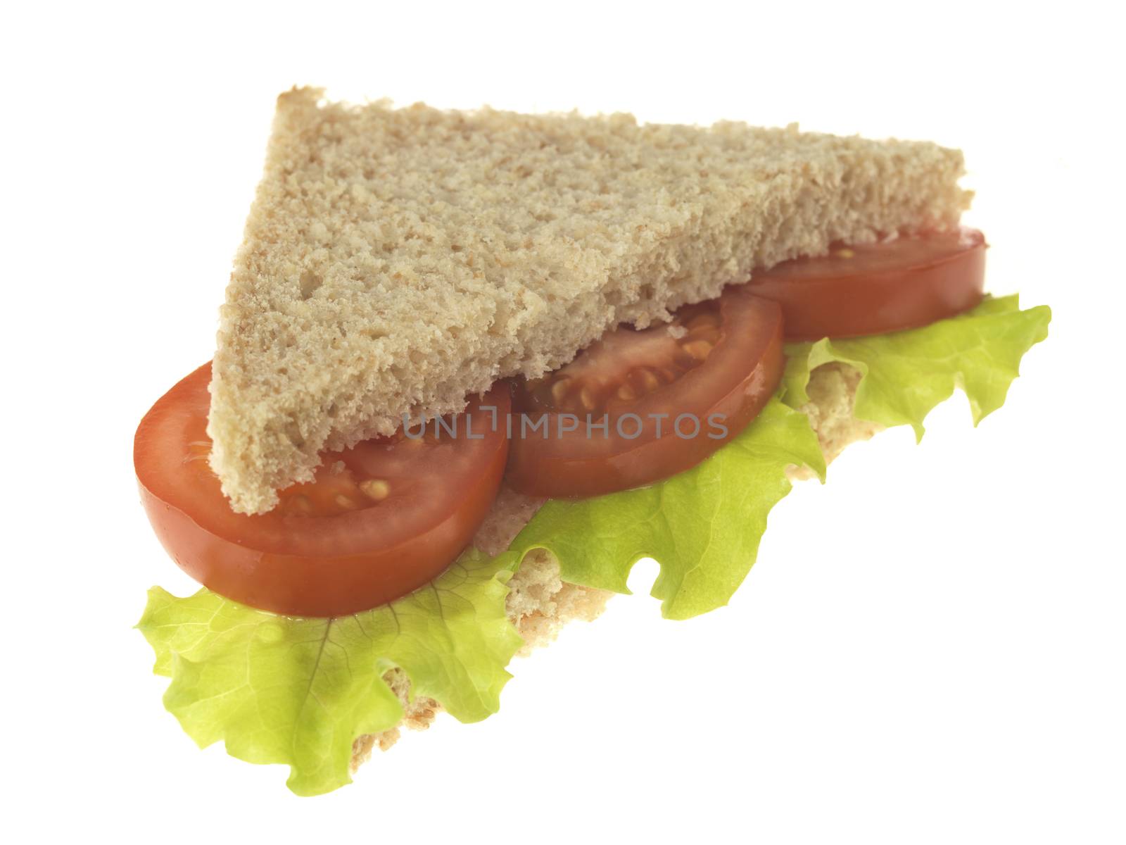 Salad Sandwich