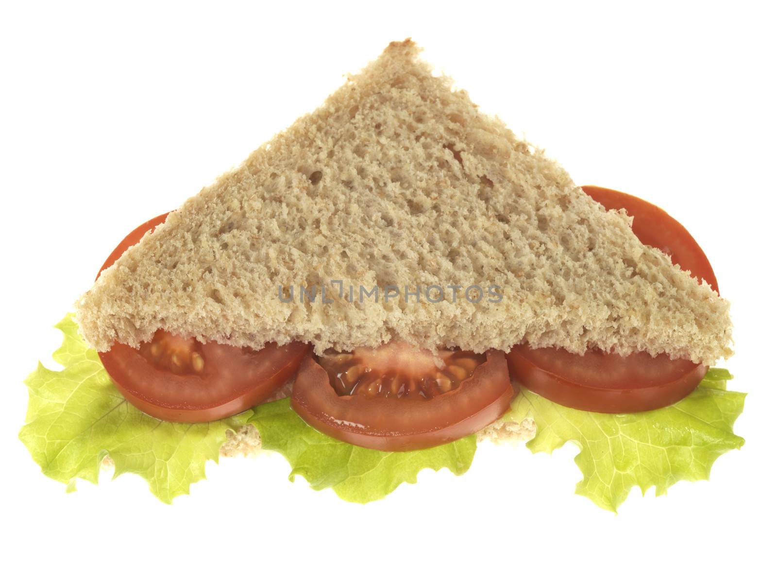 Salad Sandwich