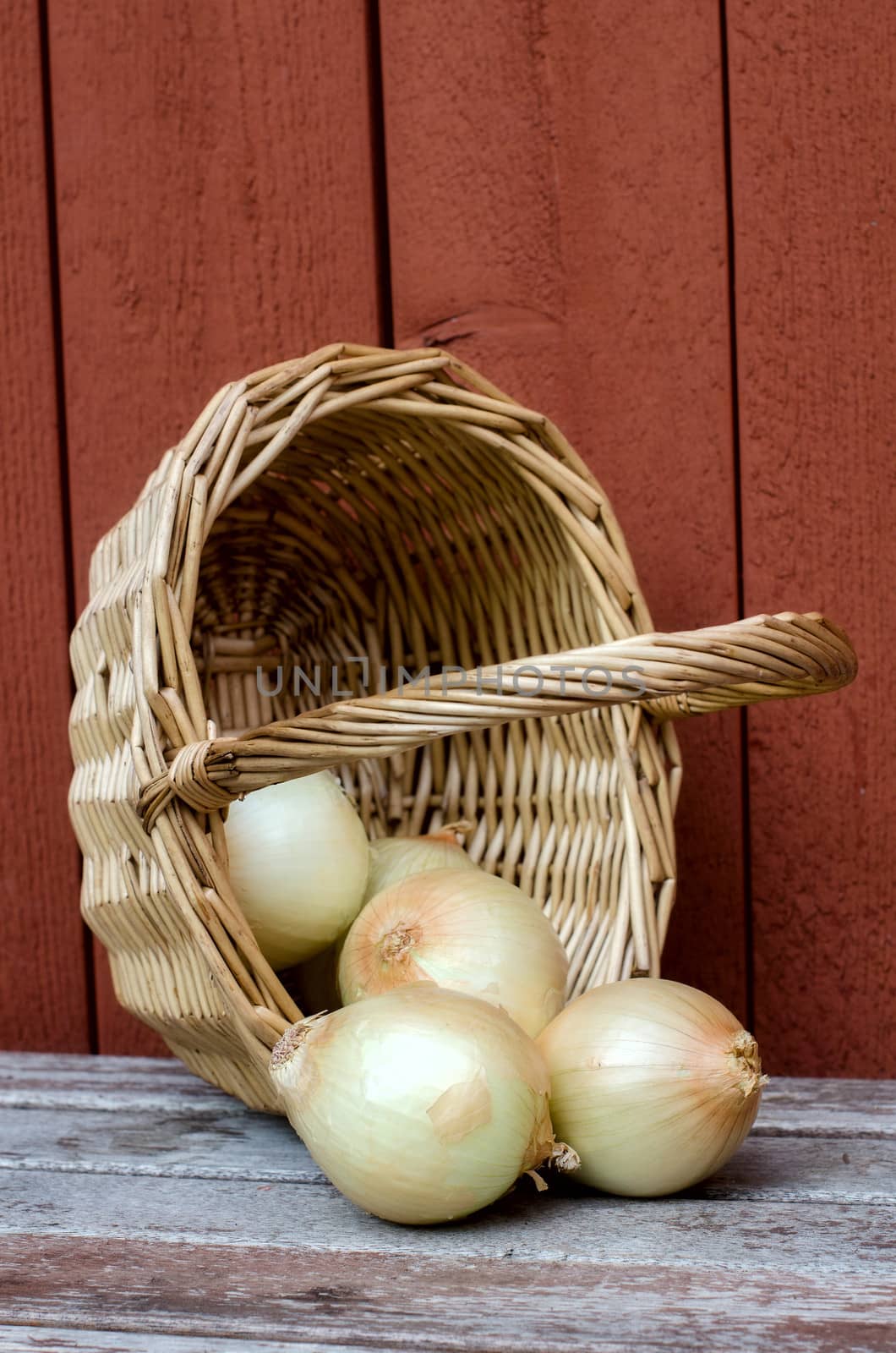Onions in a basket.