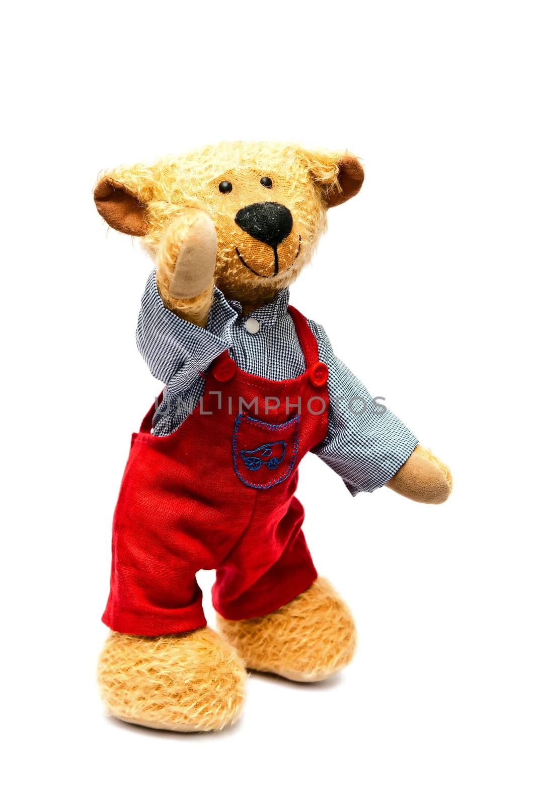 Toy - a friendly bear with red trousers with a white background