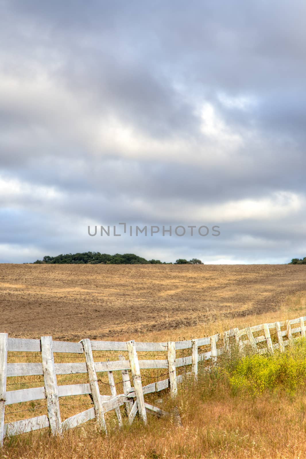 White Fence on the High Plains by wolterk