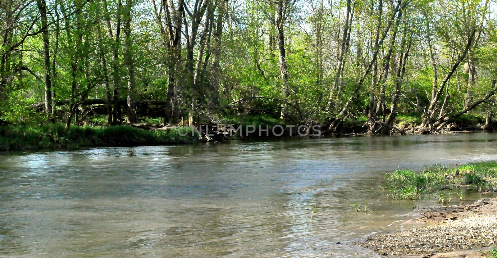 Morrows Meadow