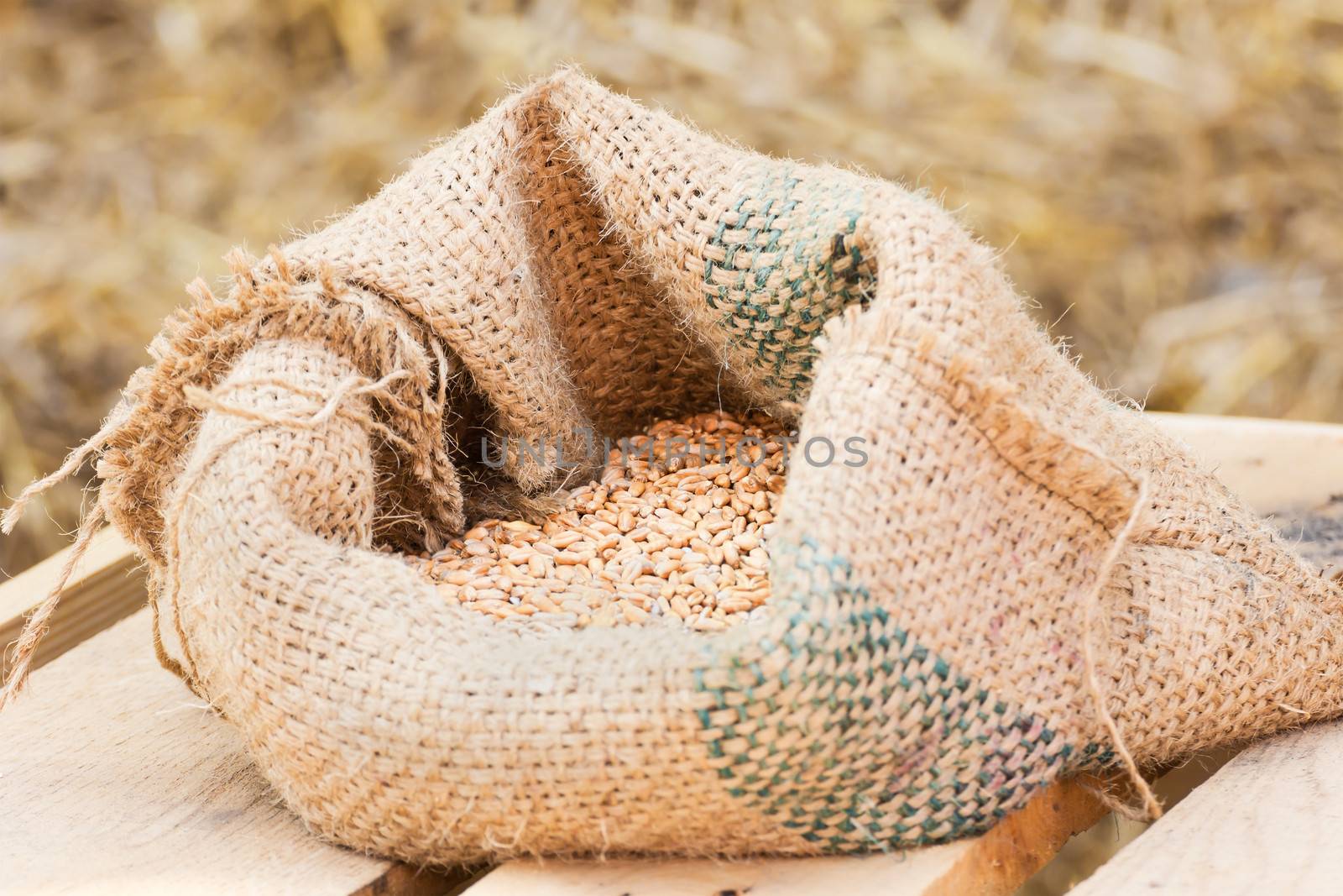 Compound Feed in sacks fodder for the animals