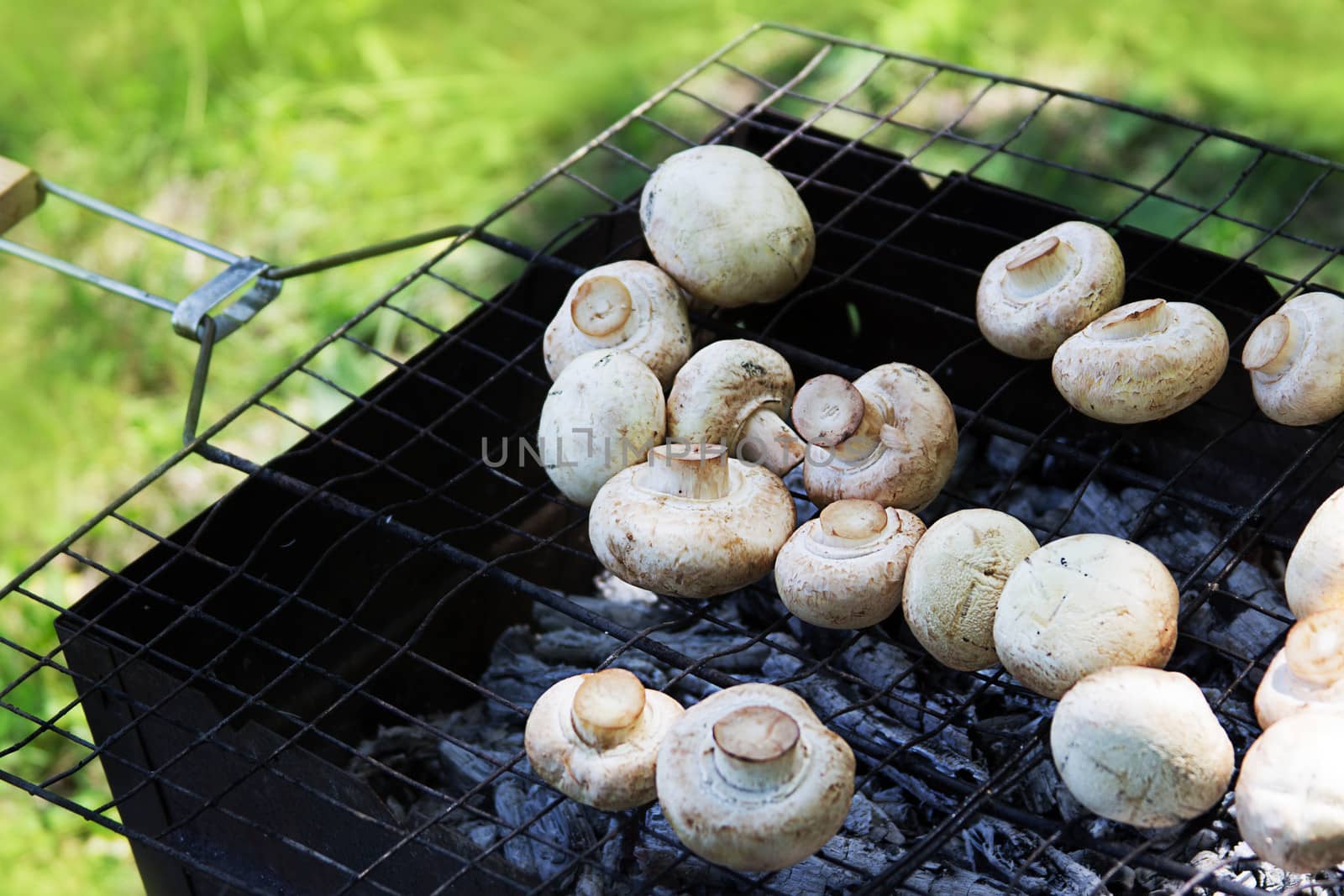 Mushrooms on the grill by Angel_a