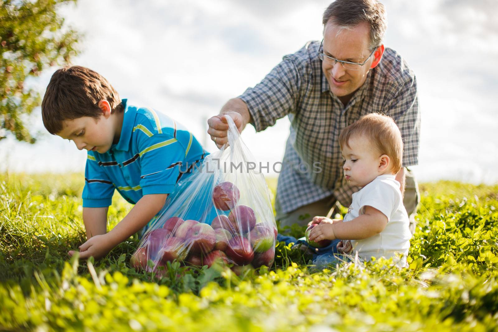 family playing on the grass